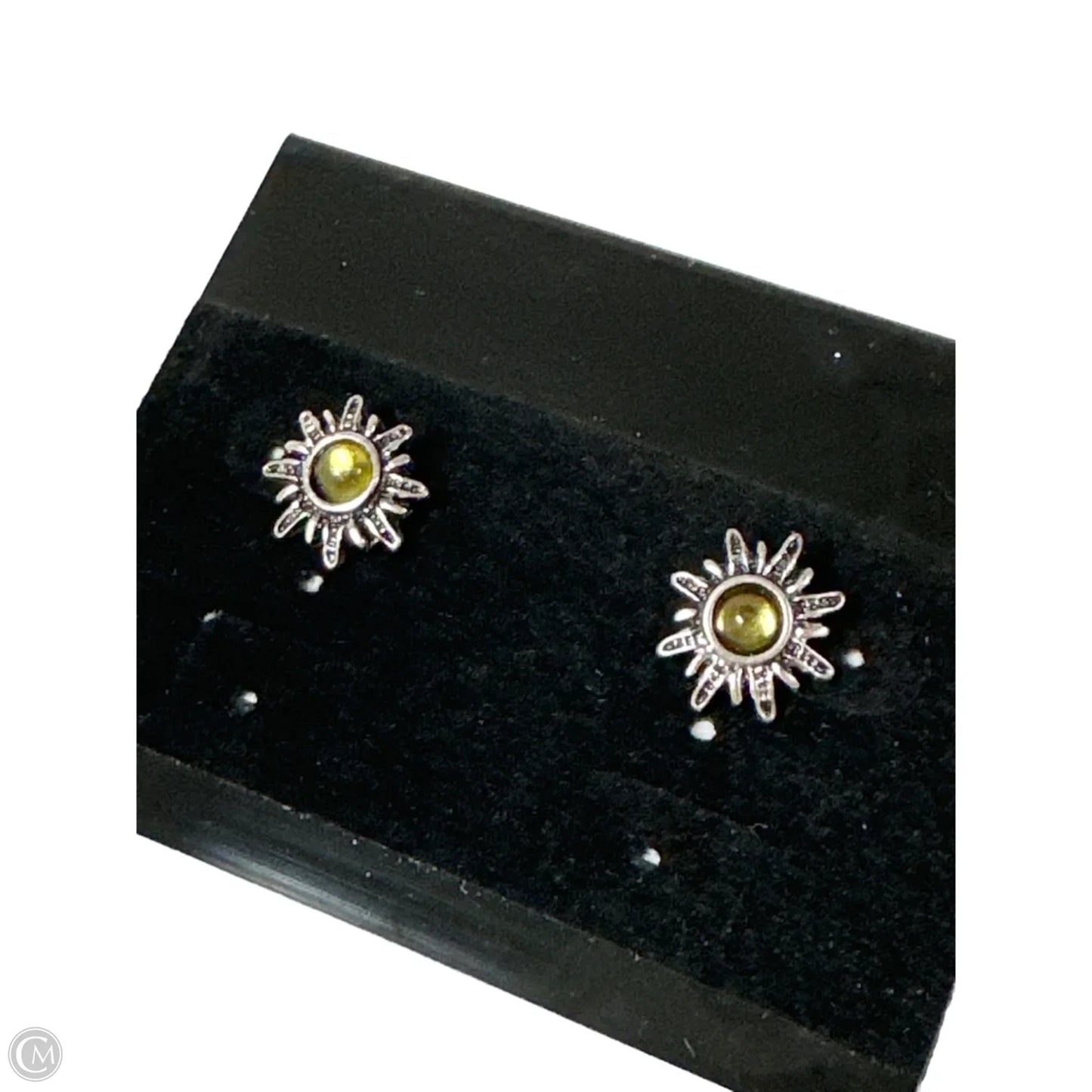 Earrings Stud By Clothes Mentor