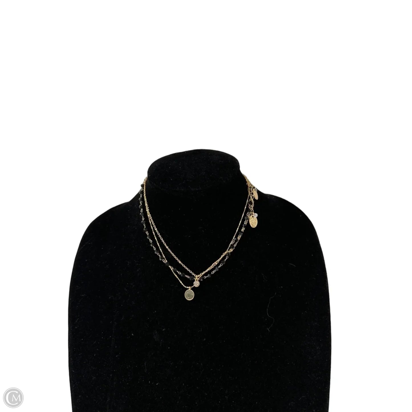 Necklace Lariat & Y-drop By Clothes Mentor, Size: 03 Piece Set