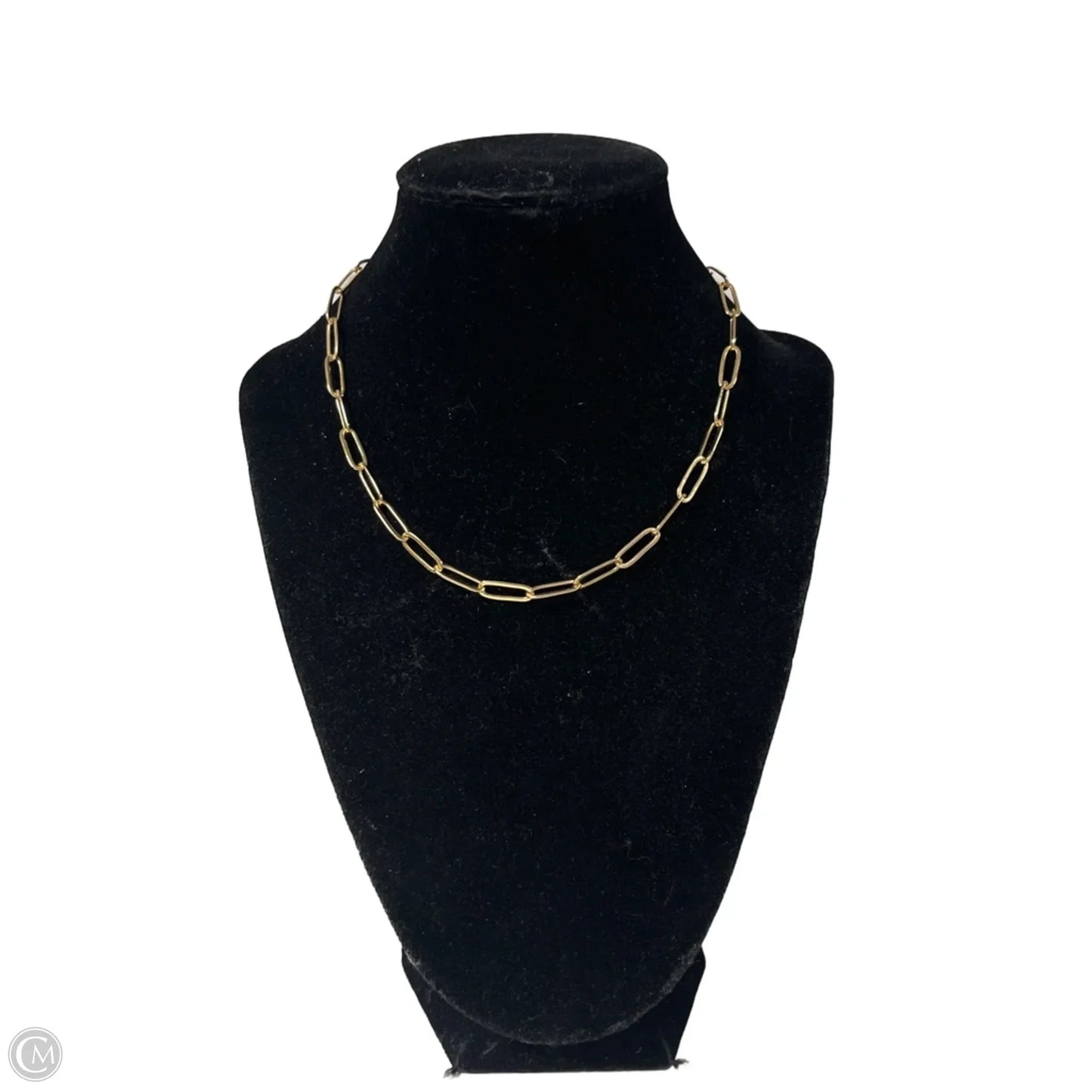 Necklace Chain By Clothes Mentor, Size: 1