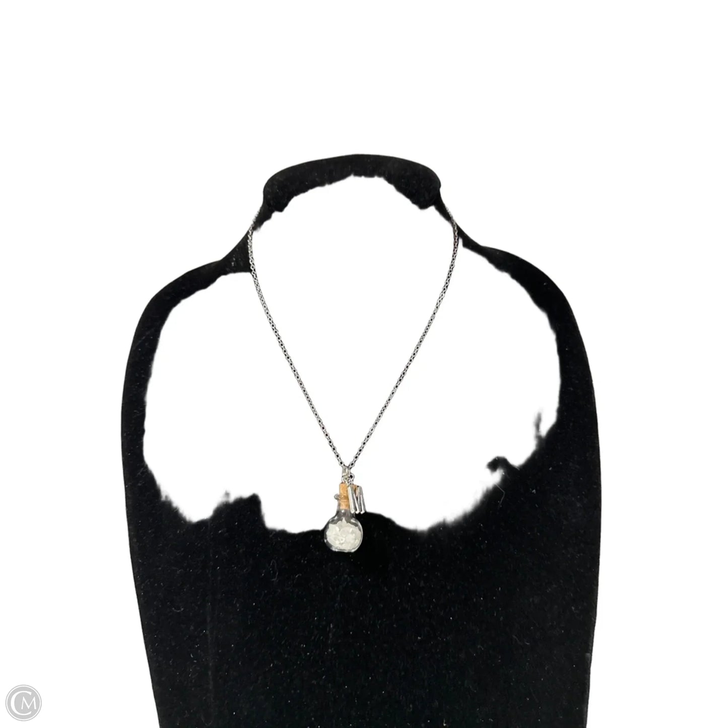 Necklace Pendant By Clothes Mentor