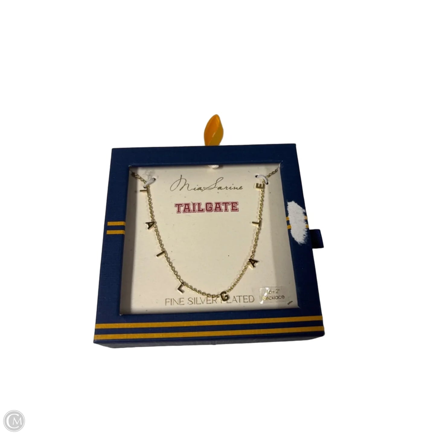 Necklace Chain By Clothes Mentor