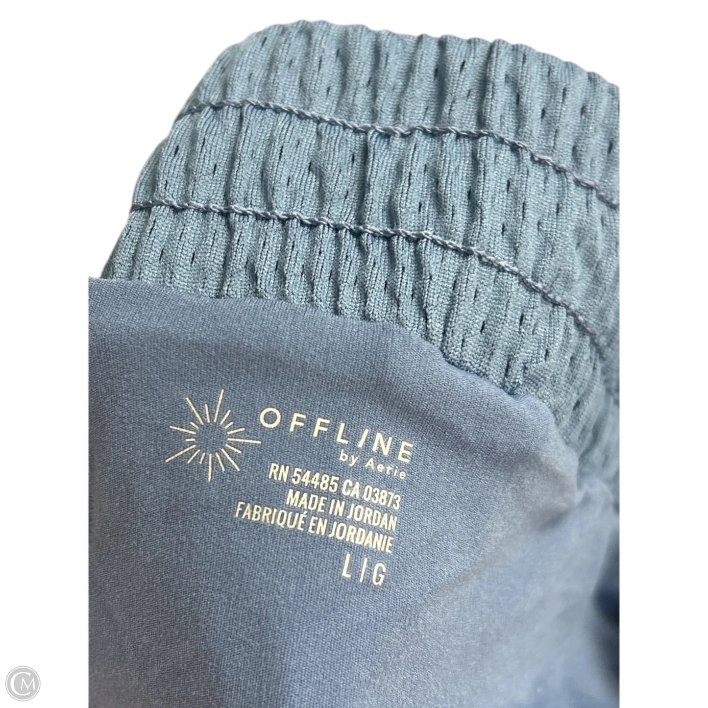 Athletic Pants By Aerie In Blue, Size: L