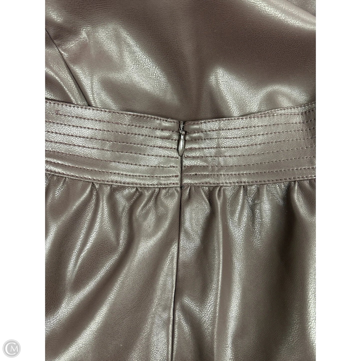 Skirt Maxi By Cmc In Brown, Size: 6