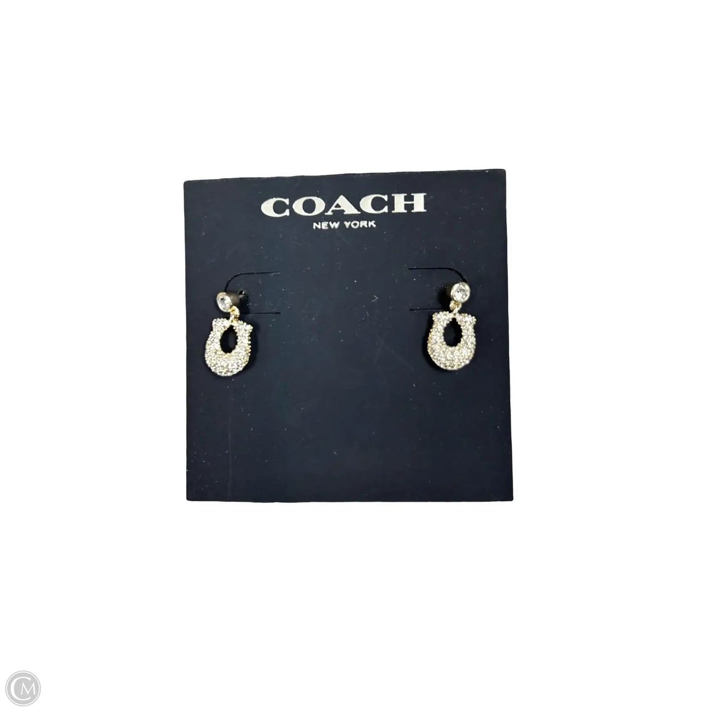 Earrings Designer By Coach