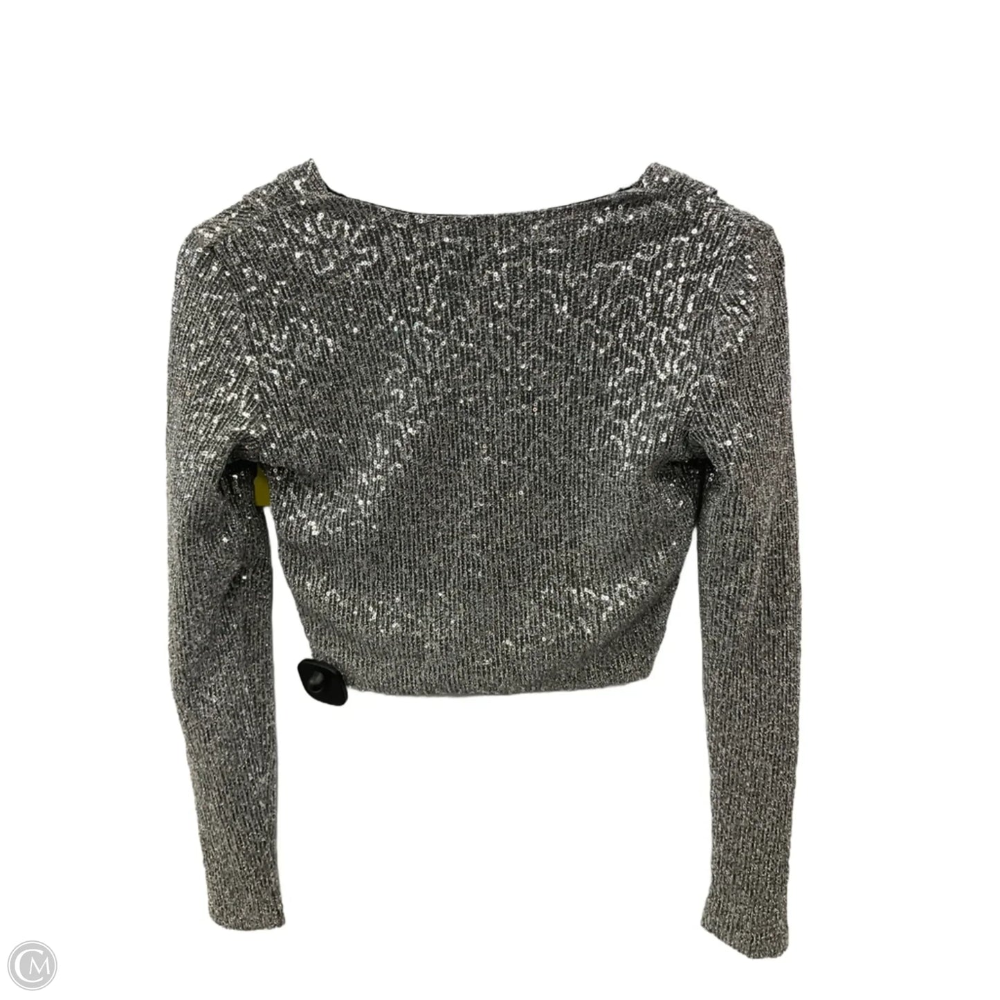 Top Long Sleeve By Zara In Silver, Size: S