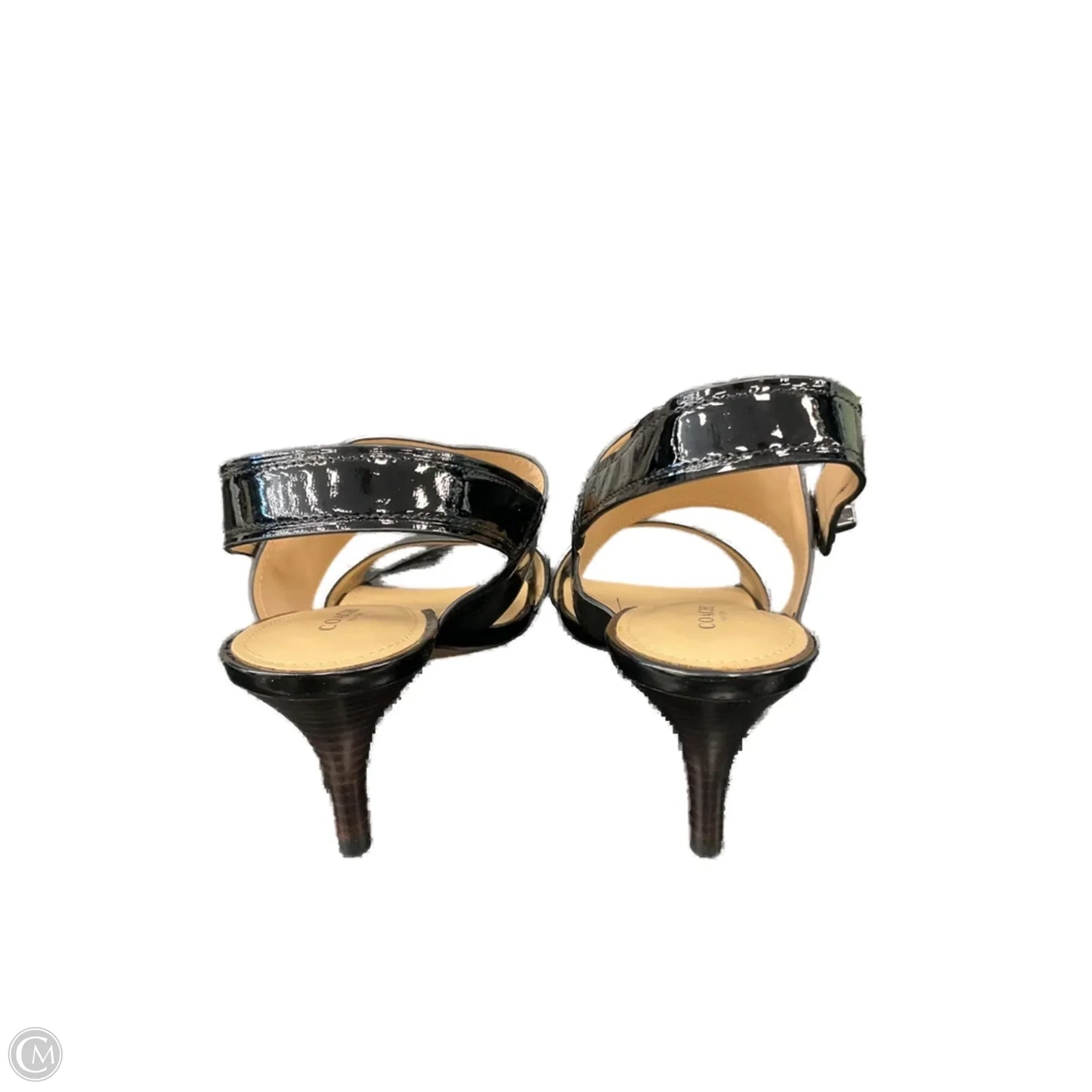 Scarf Designer By Coach