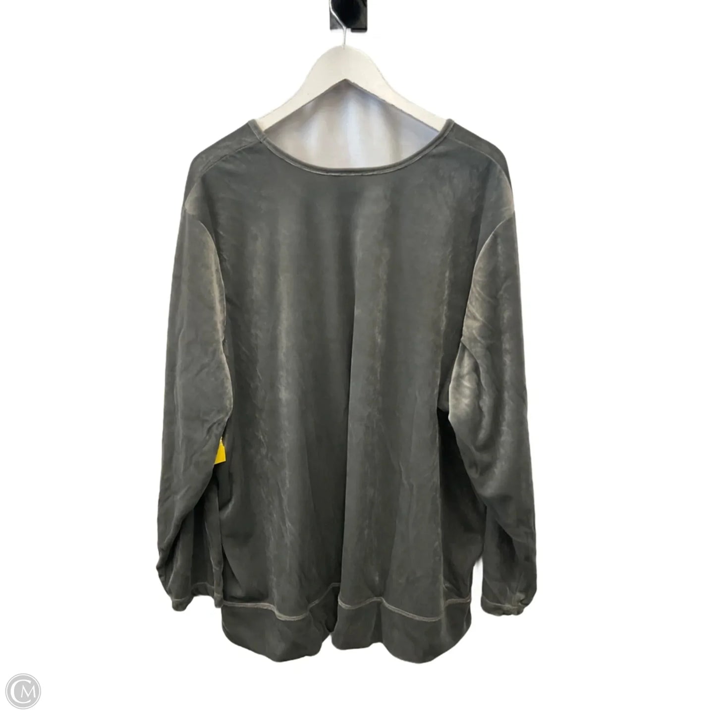 Top Long Sleeve By Woman Within In Grey, Size: 3x