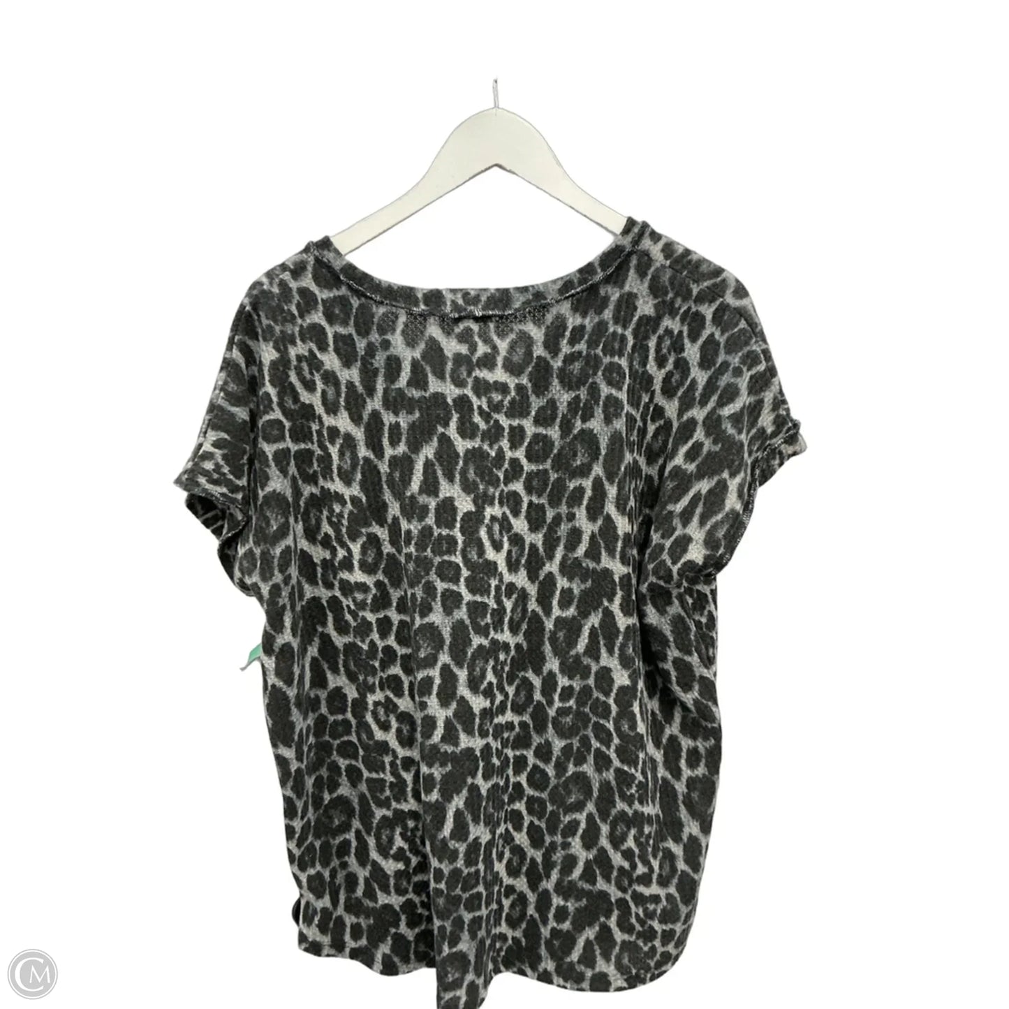 Top Short Sleeve By Heimish Usa In Grey, Size: 1x