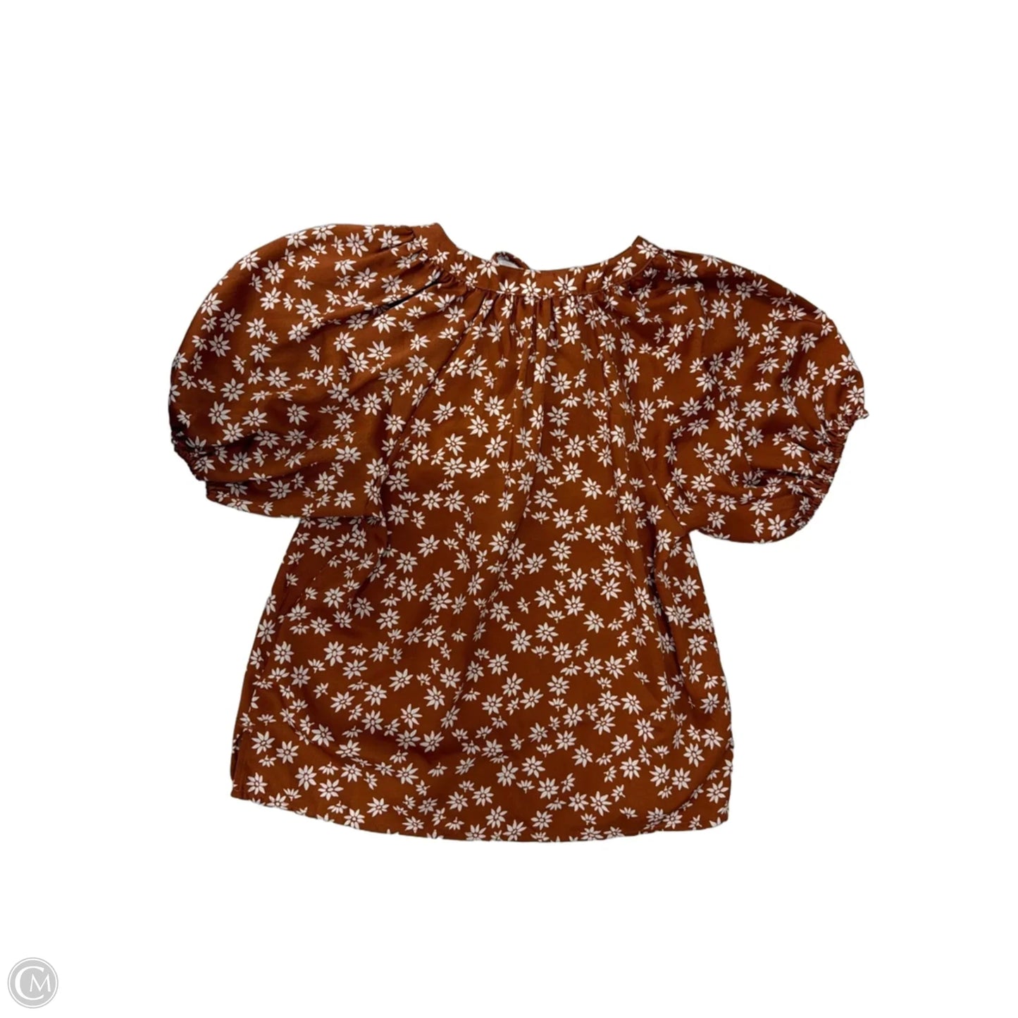 Top Short Sleeve By Loft In Brown & White, Size: Xxs