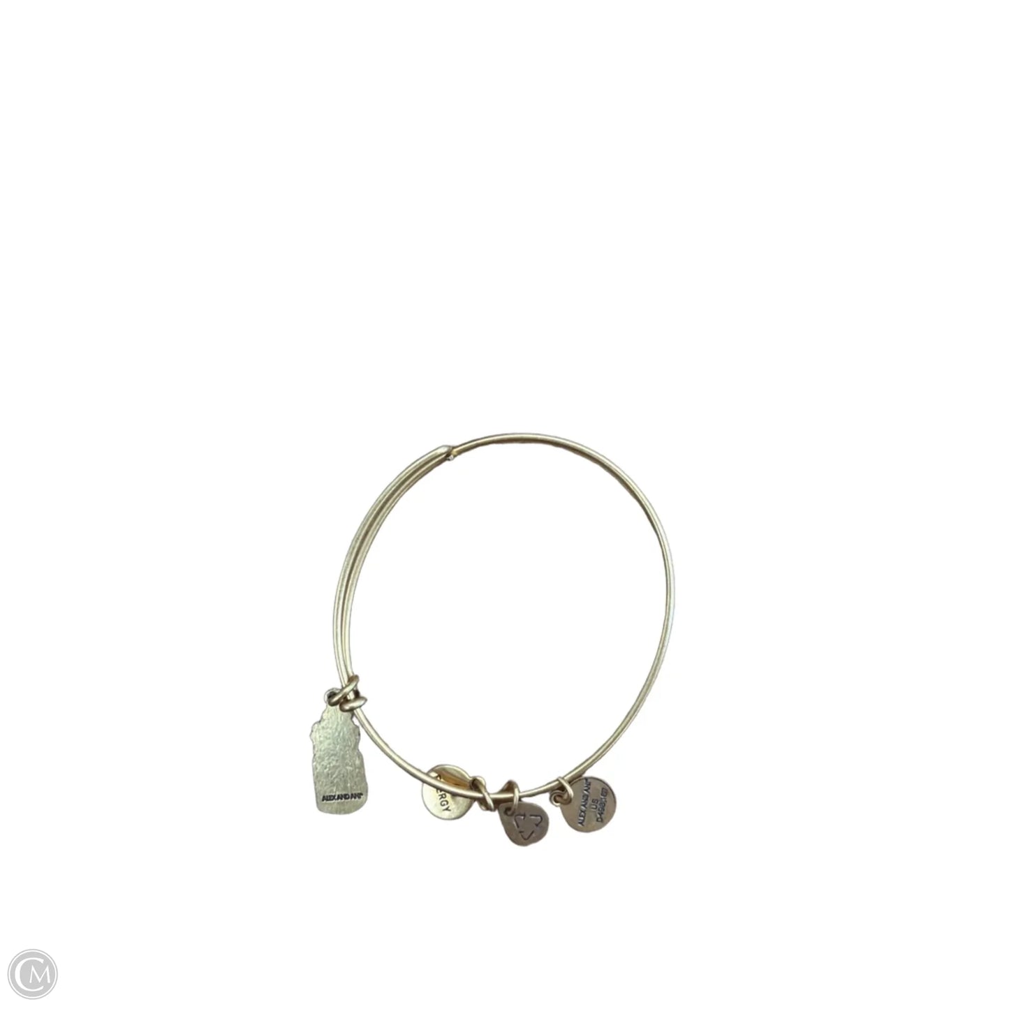 Bracelet Charm By Alex And Ani