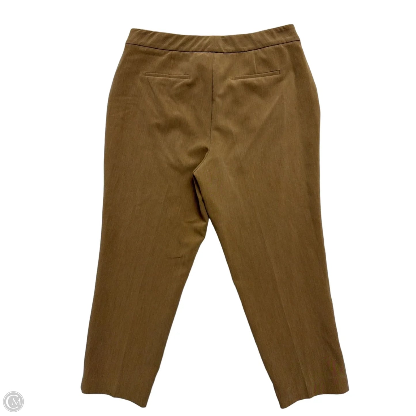 Pants Dress By Investments In Brown, Size: 18