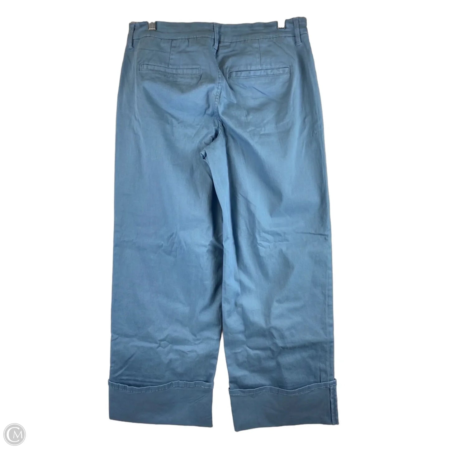 Pants Other By Market & Spruce In Blue, Size: 10