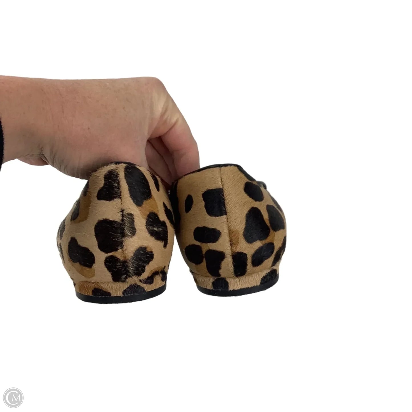 Shoes Flats By Cole-haan In Animal Print, Size: 9