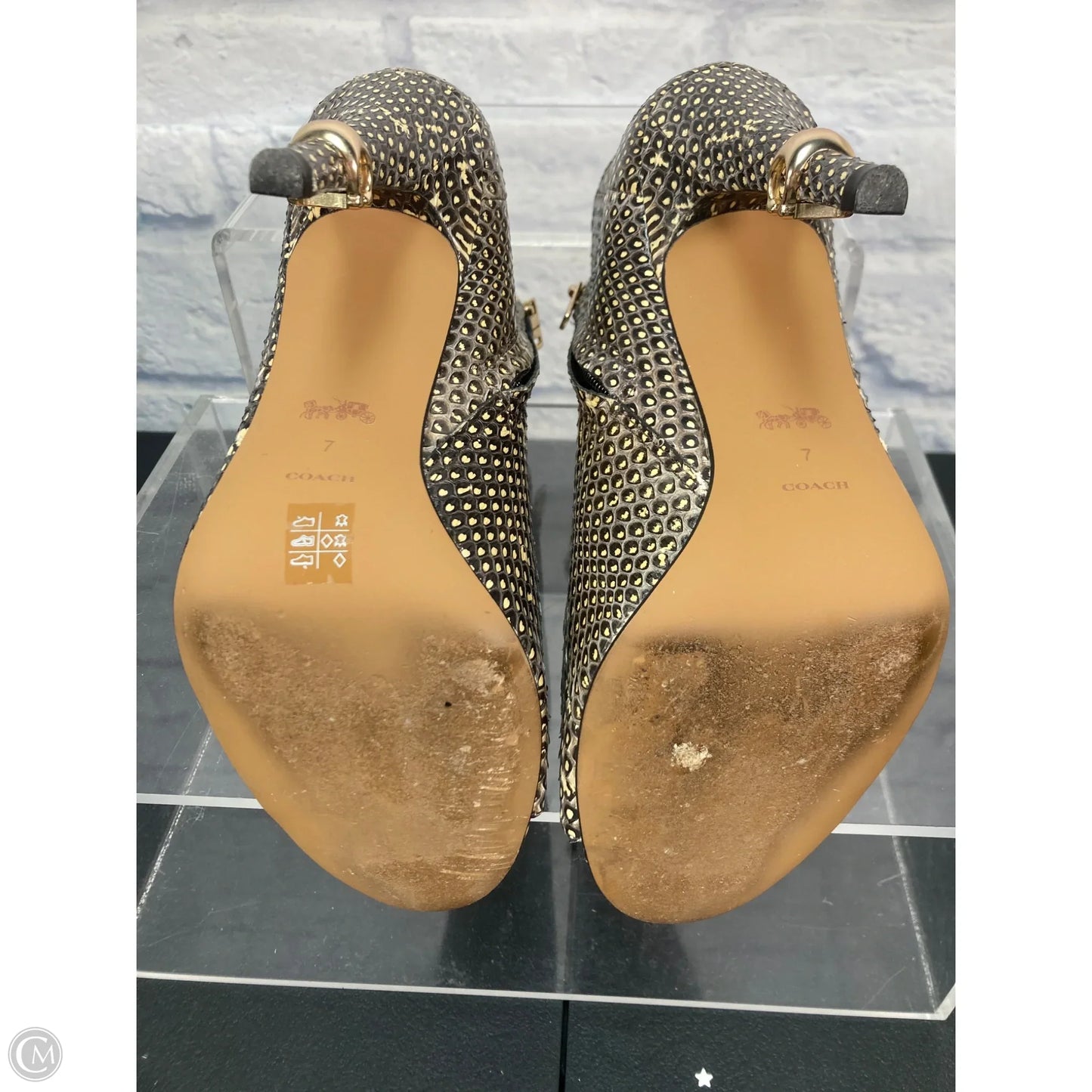 Shoes Designer By Coach In Animal Print, Size: 7