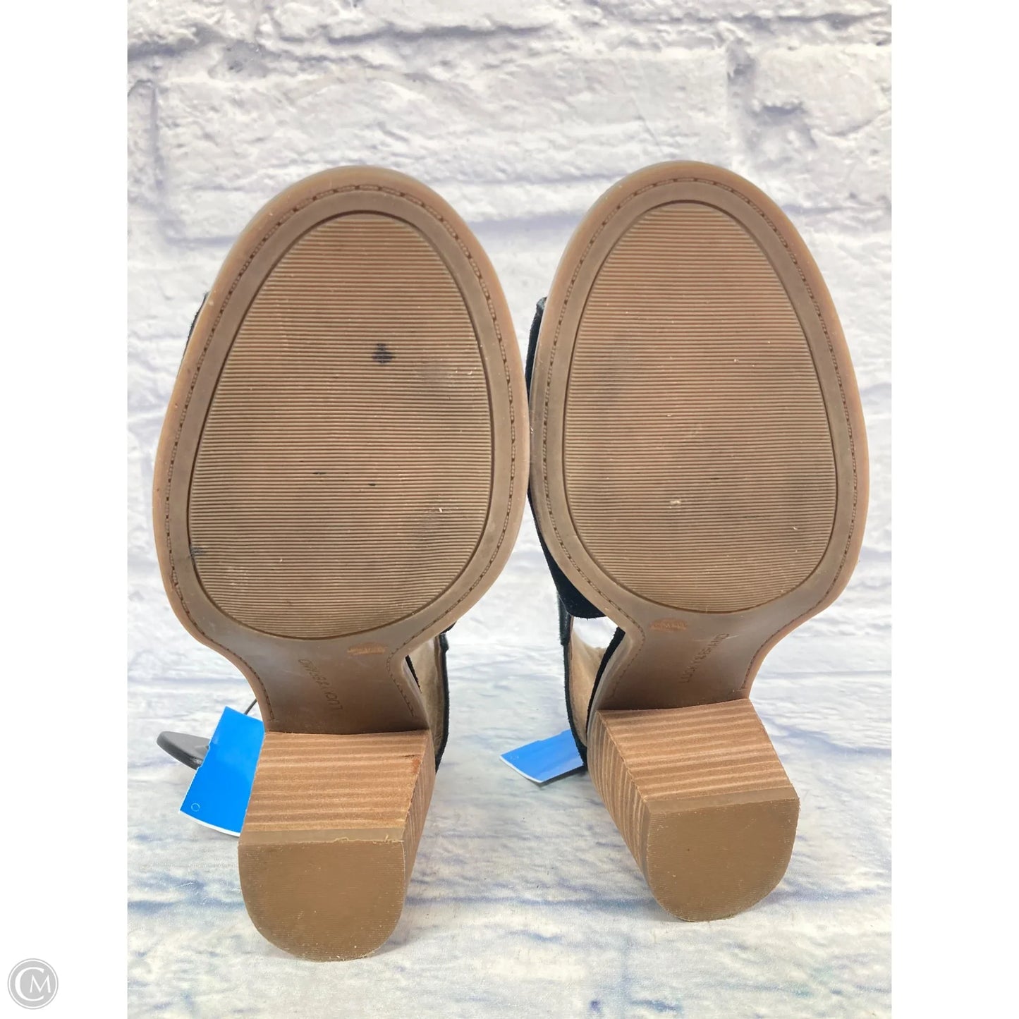 Shoes Heels Block By Lucky Brand In Black, Size: 8.5