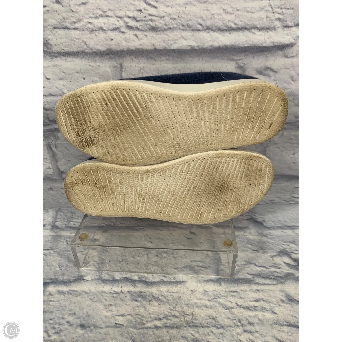 Shoes Sneakers By Allbirds In Blue, Size: 9