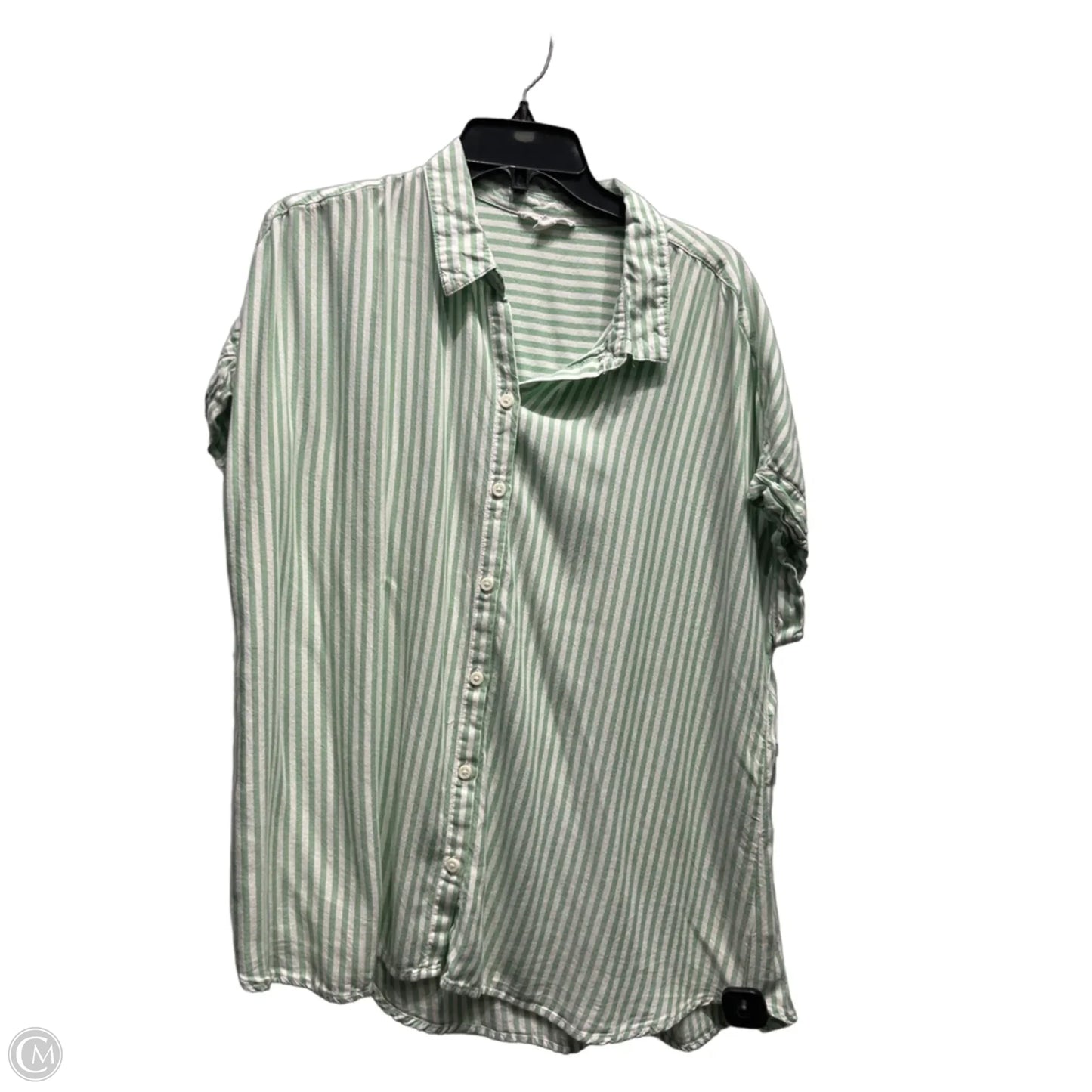 Top Short Sleeve By Beachlunchlounge In Green & White, Size: Xl