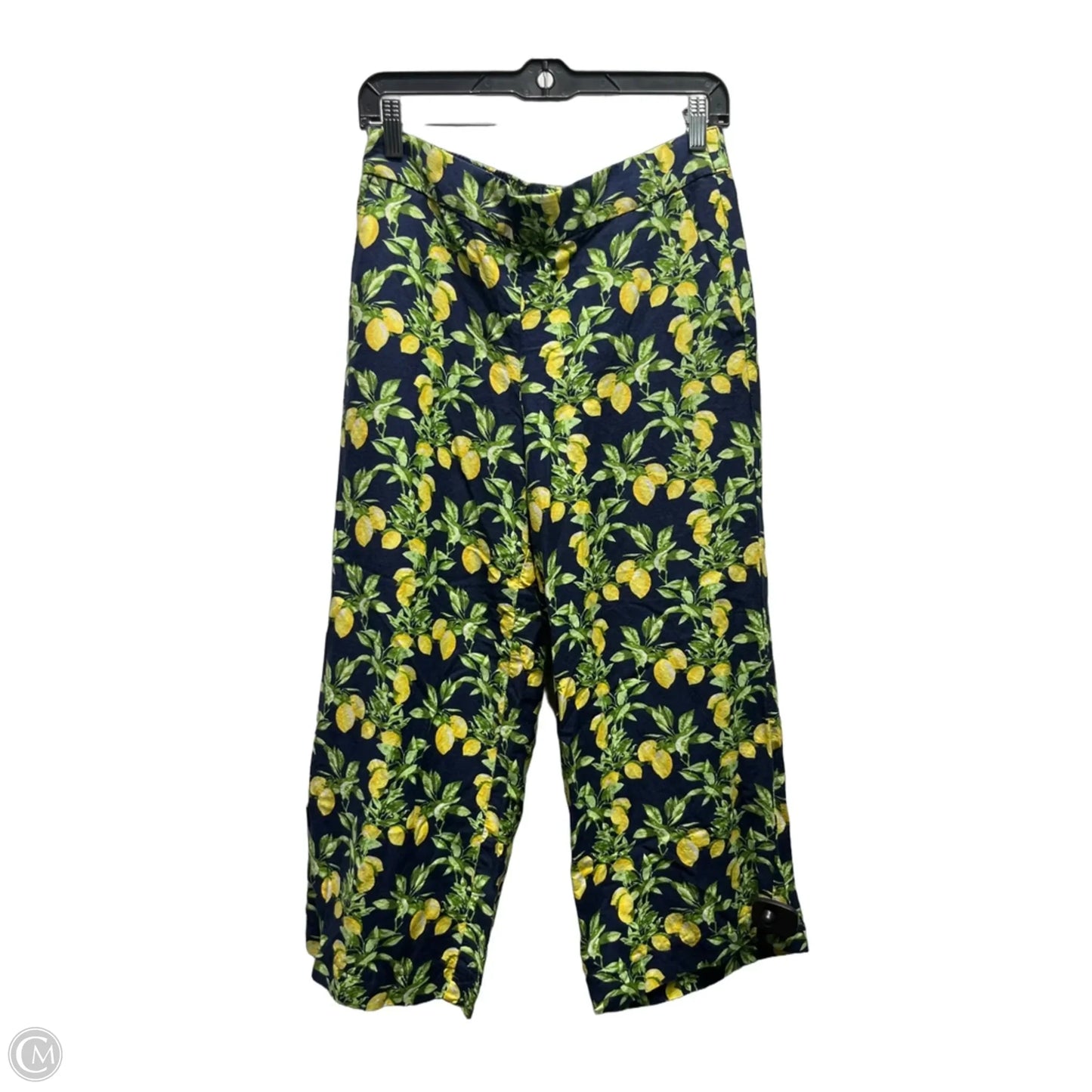 Pants Linen By Loft In Blue & Green, Size: S