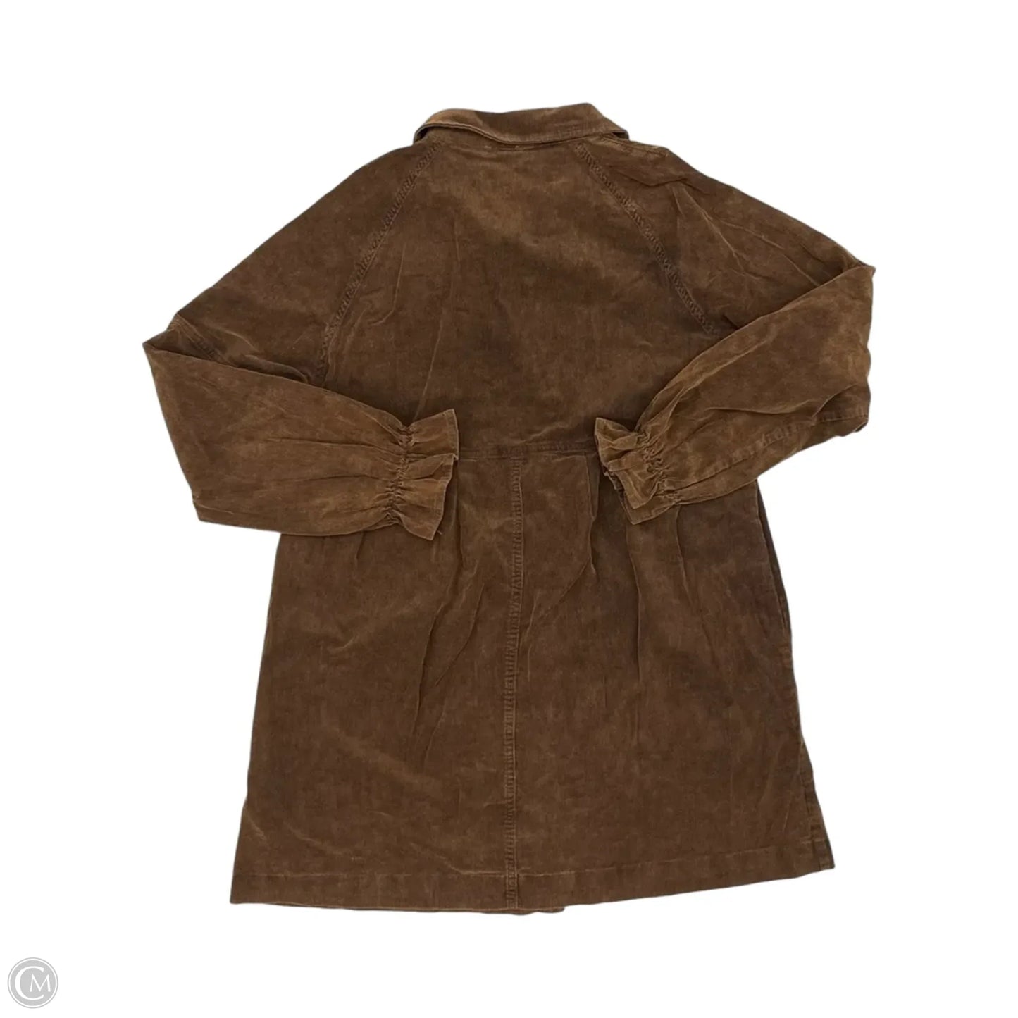Dress Casual Short By Clothes Mentor In Brown, Size: Xl