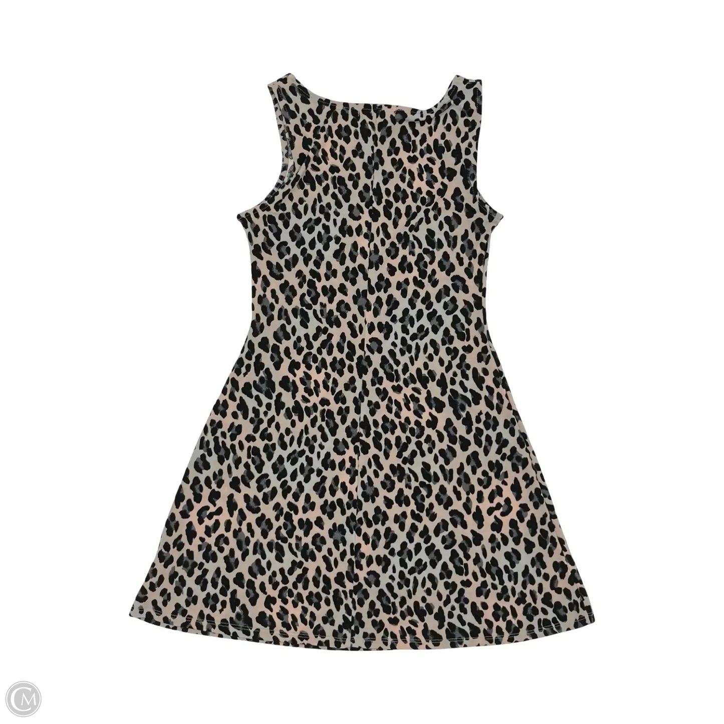 Dress Casual Short By Wallflower In Leopard Print, Size: M