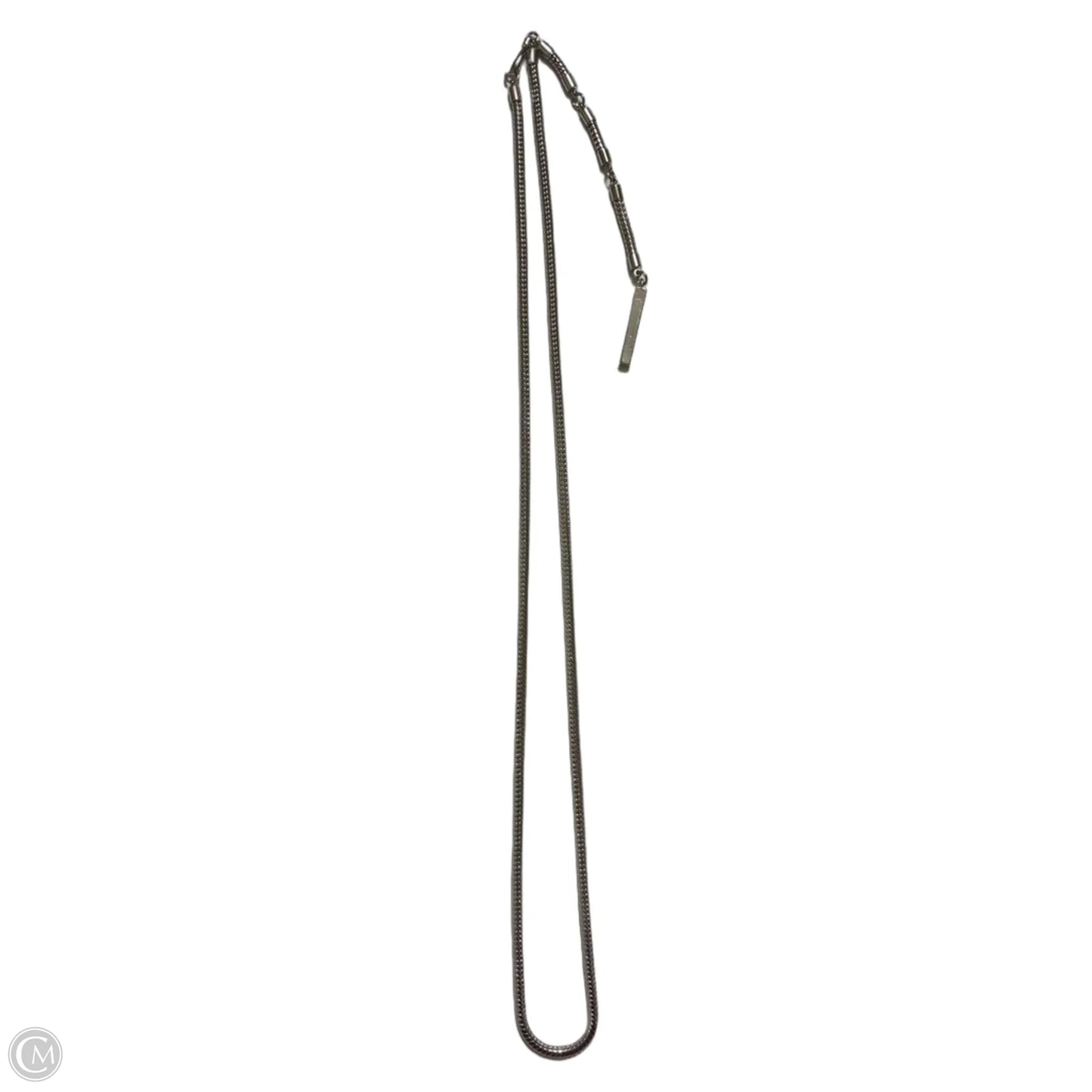 Necklace Chain By Liz Claiborne