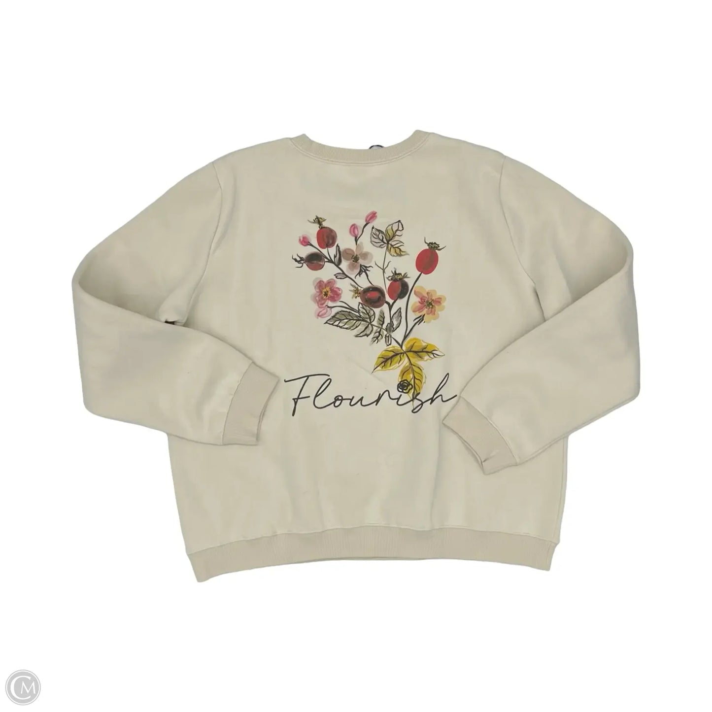 Athletic Sweatshirt Crewneck By Zyia In Tan, Size: Xxl