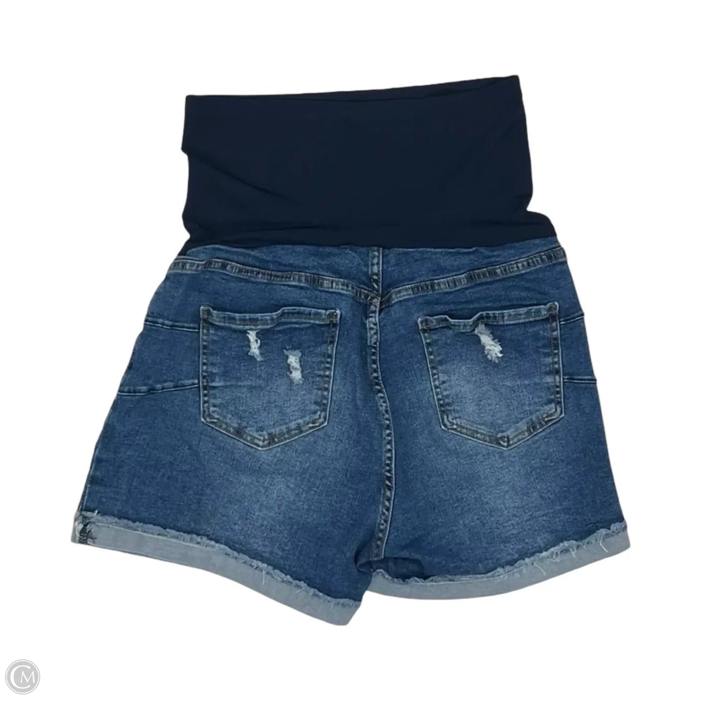 Mat Shorts By Clothes Mentor, Size: L