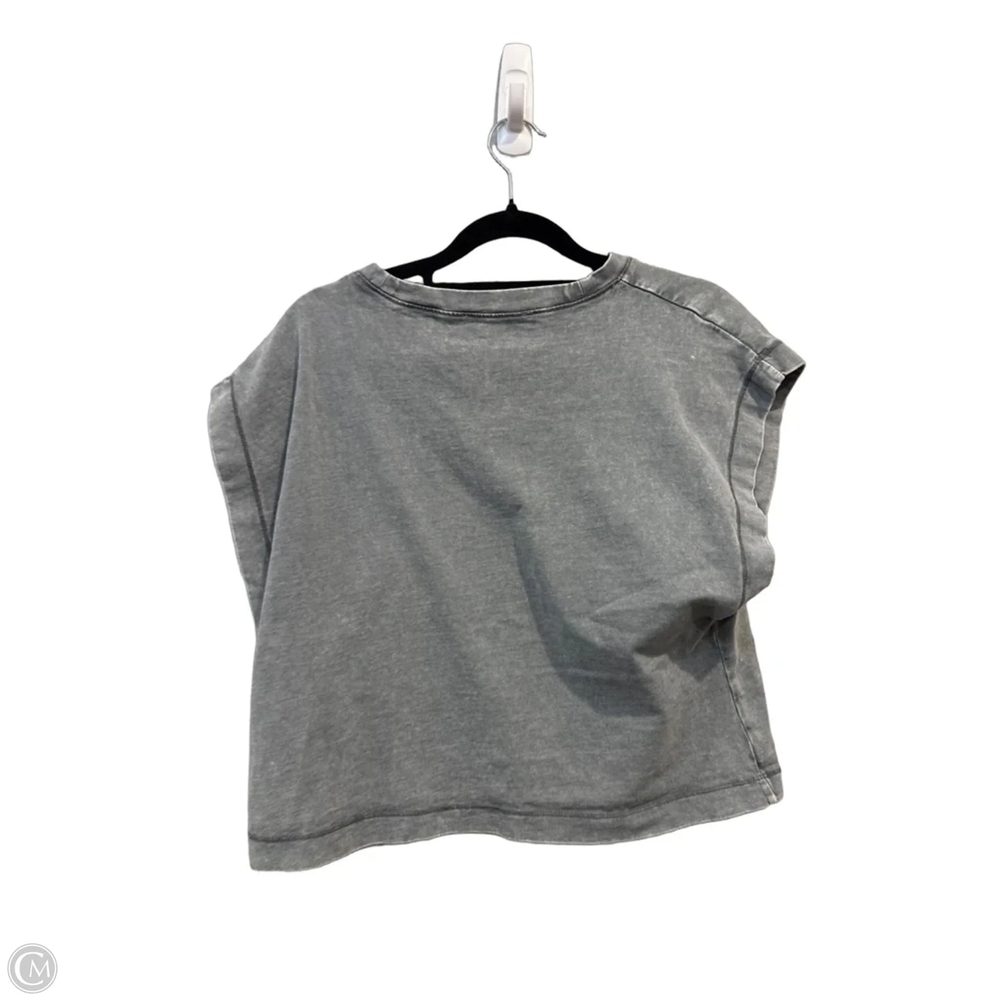 Top Sleeveless Basic By Zara In Grey, Size: M