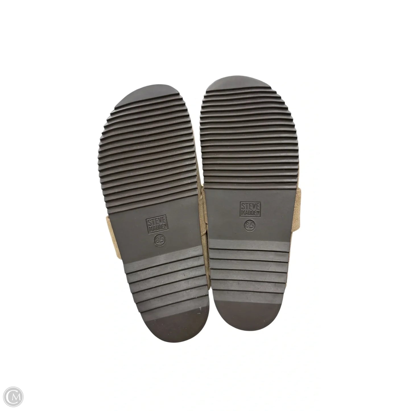 Shoes Flats By Steve Madden In Brown, Size: 8.5