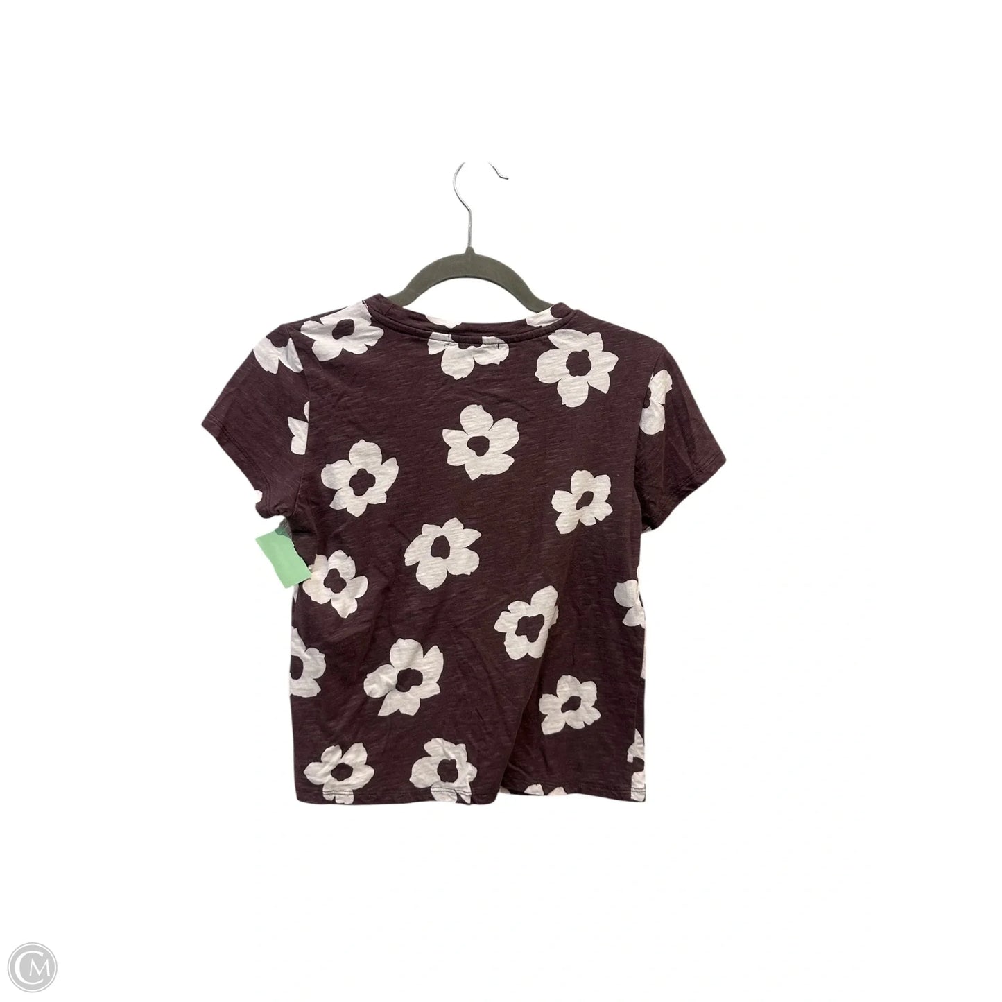 Top Short Sleeve By Sanctuary In Brown, Size: Xs
