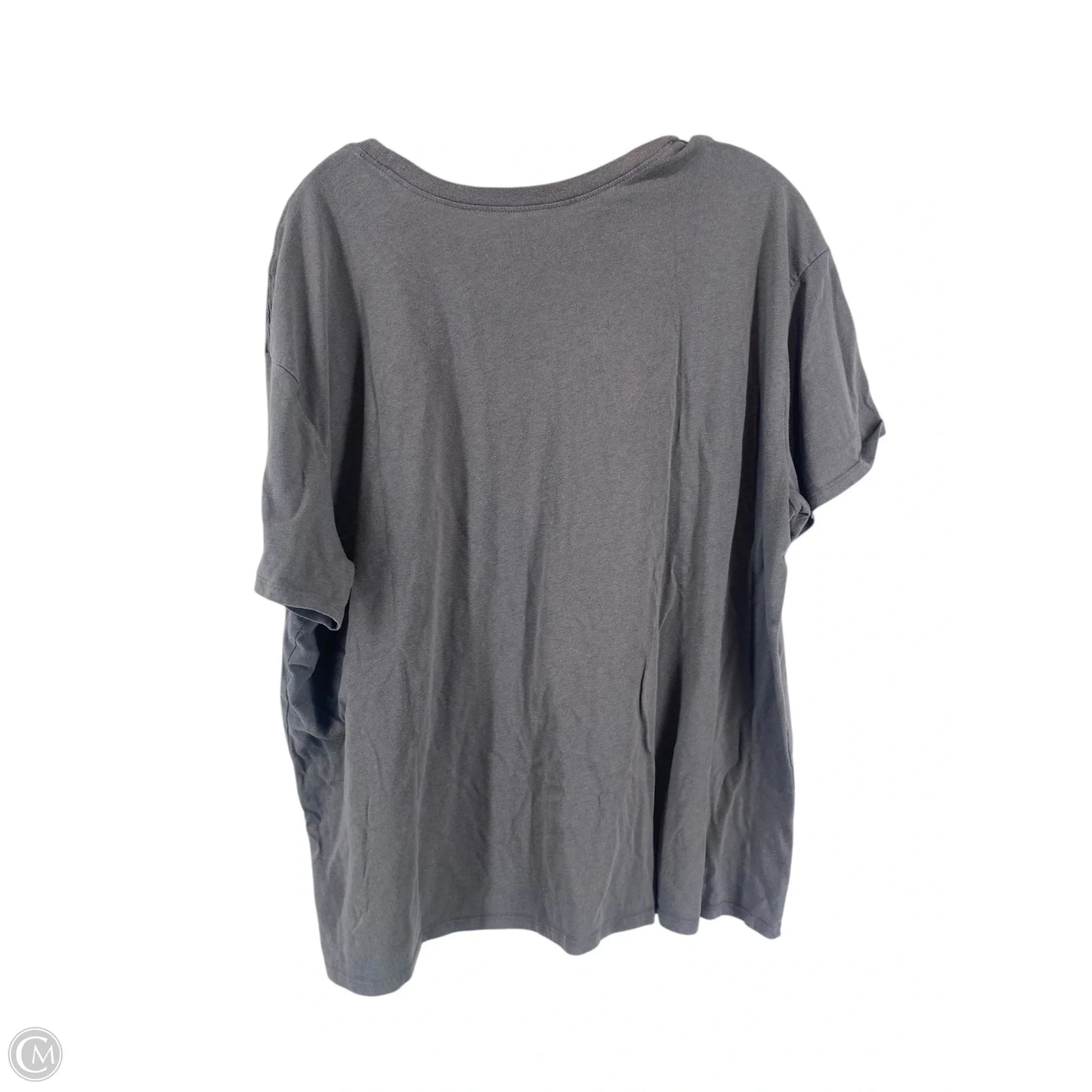 Top Short Sleeve By Time And Tru In Grey, Size: 3x