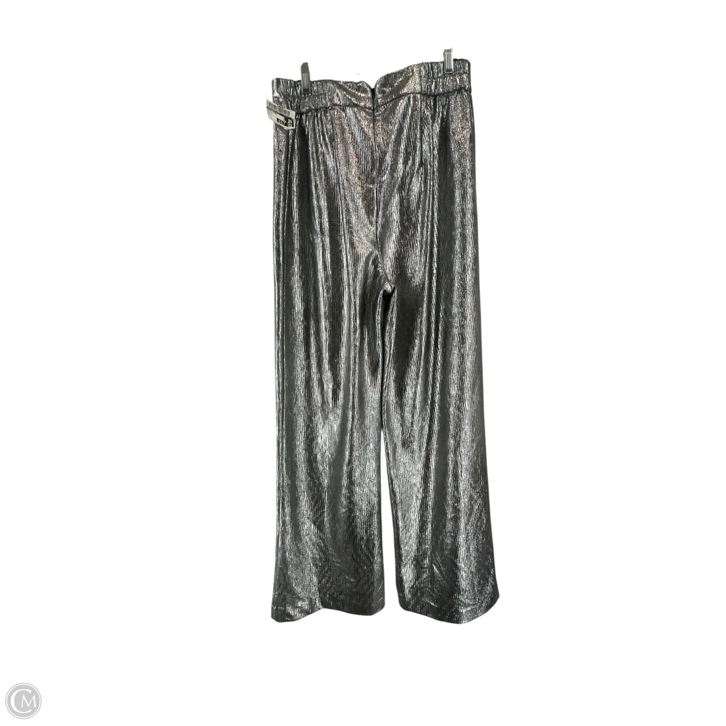 Pants Other By Anthropologie In Silver, Size: L