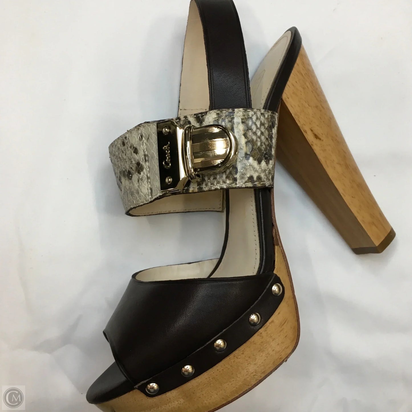 Shoes Designer By Coach In Animal Print, Size: 5.5