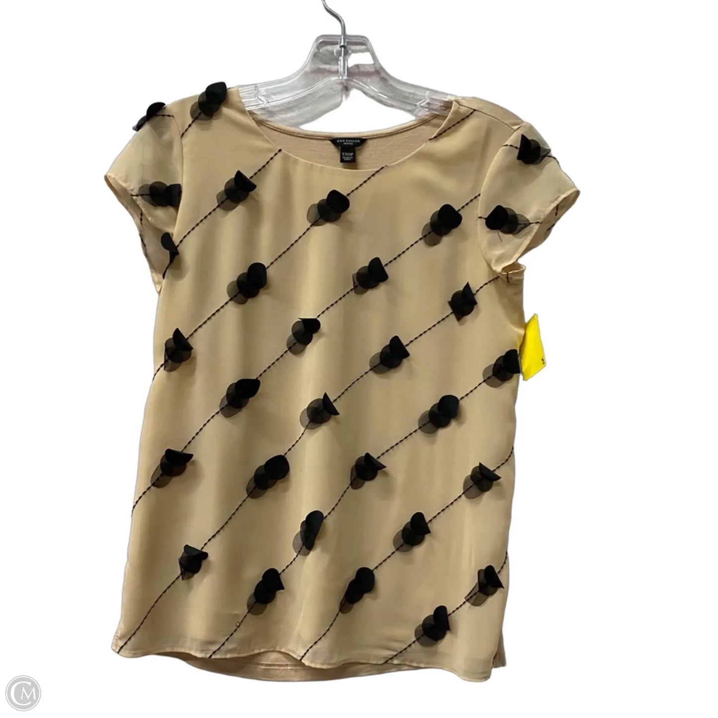 Top Short Sleeve By Ann Taylor In Cream, Size: Xxsp