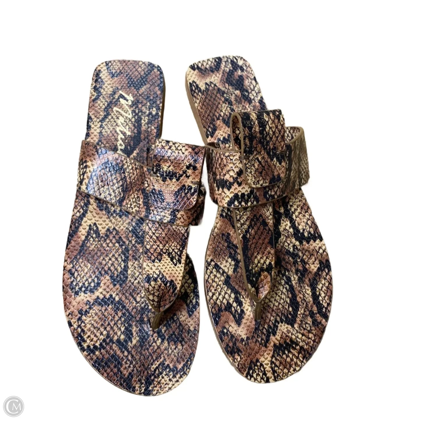 Sandals Flats By Matisse In Black & Tan, Size: 9