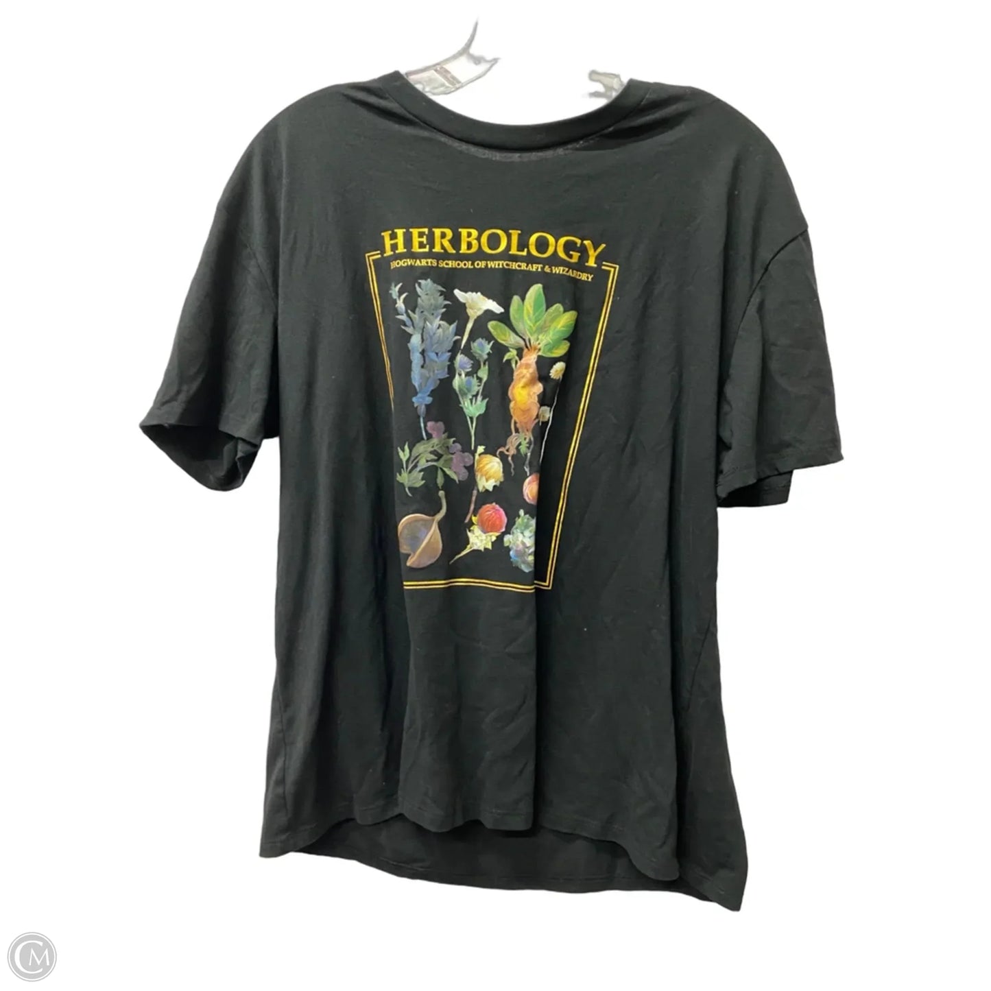 Top Short Sleeve By Harry Potter In Black, Size: 1x