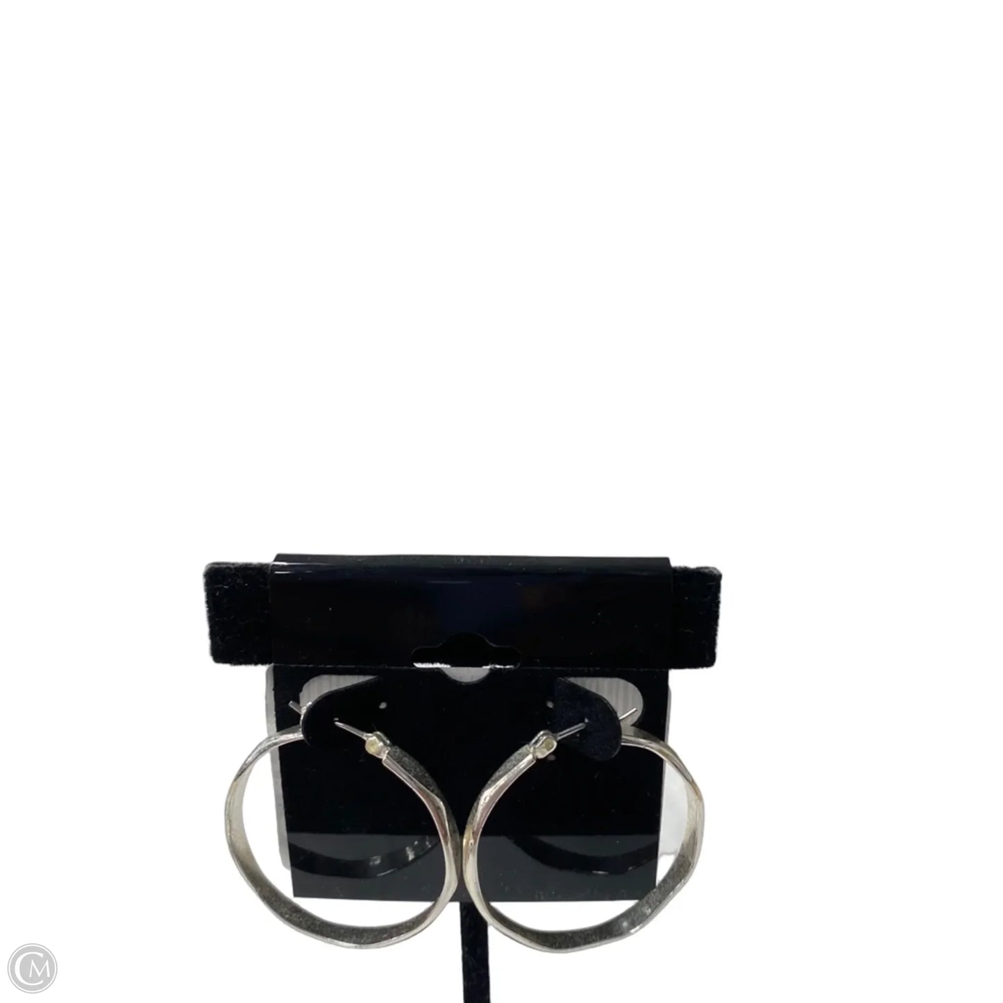 Earrings Hoop