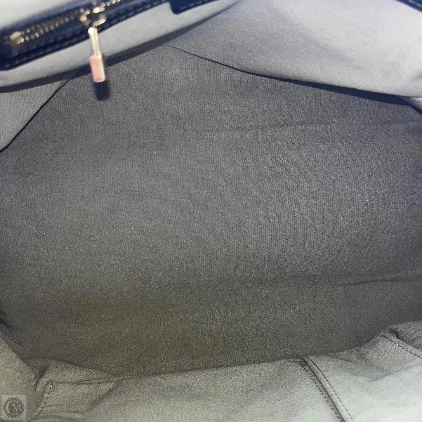 Handbag Luxury Designer By Louis Vuitton, Size: Large