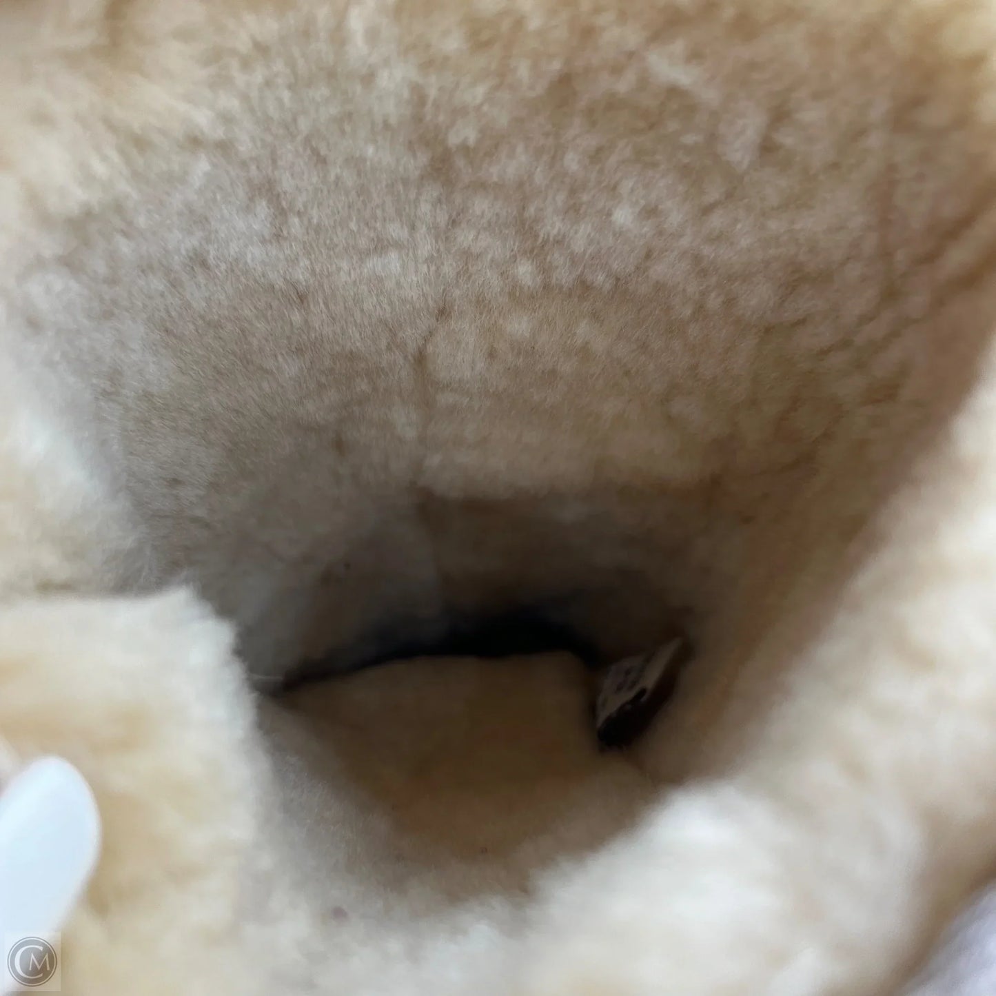 Boots Designer By Ugg In Cream, Size: 6