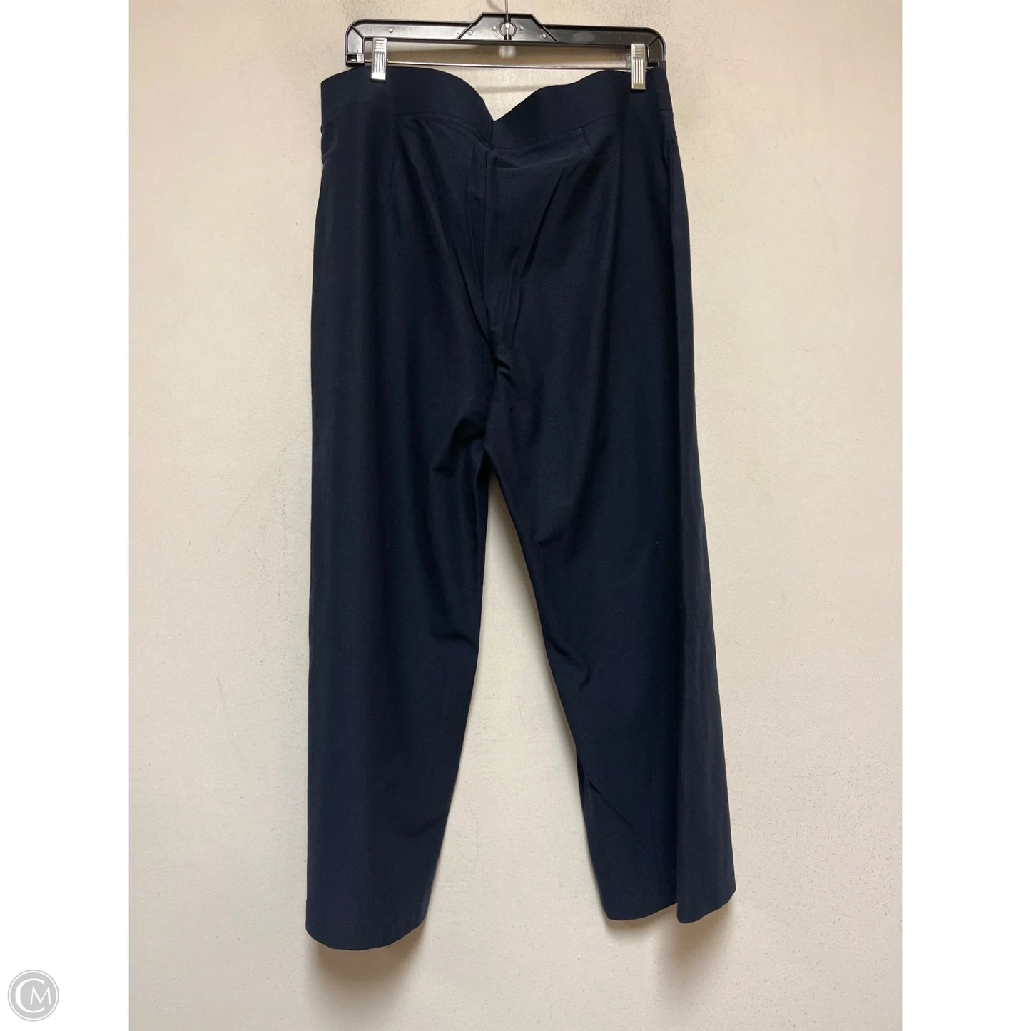 Pants Other By Eileen Fisher In Navy, Size: 12