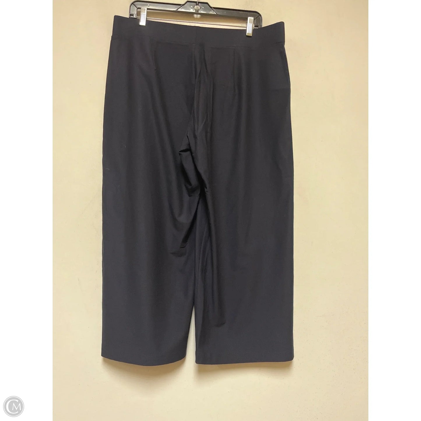Pants Other By Eileen Fisher In Navy, Size: 12