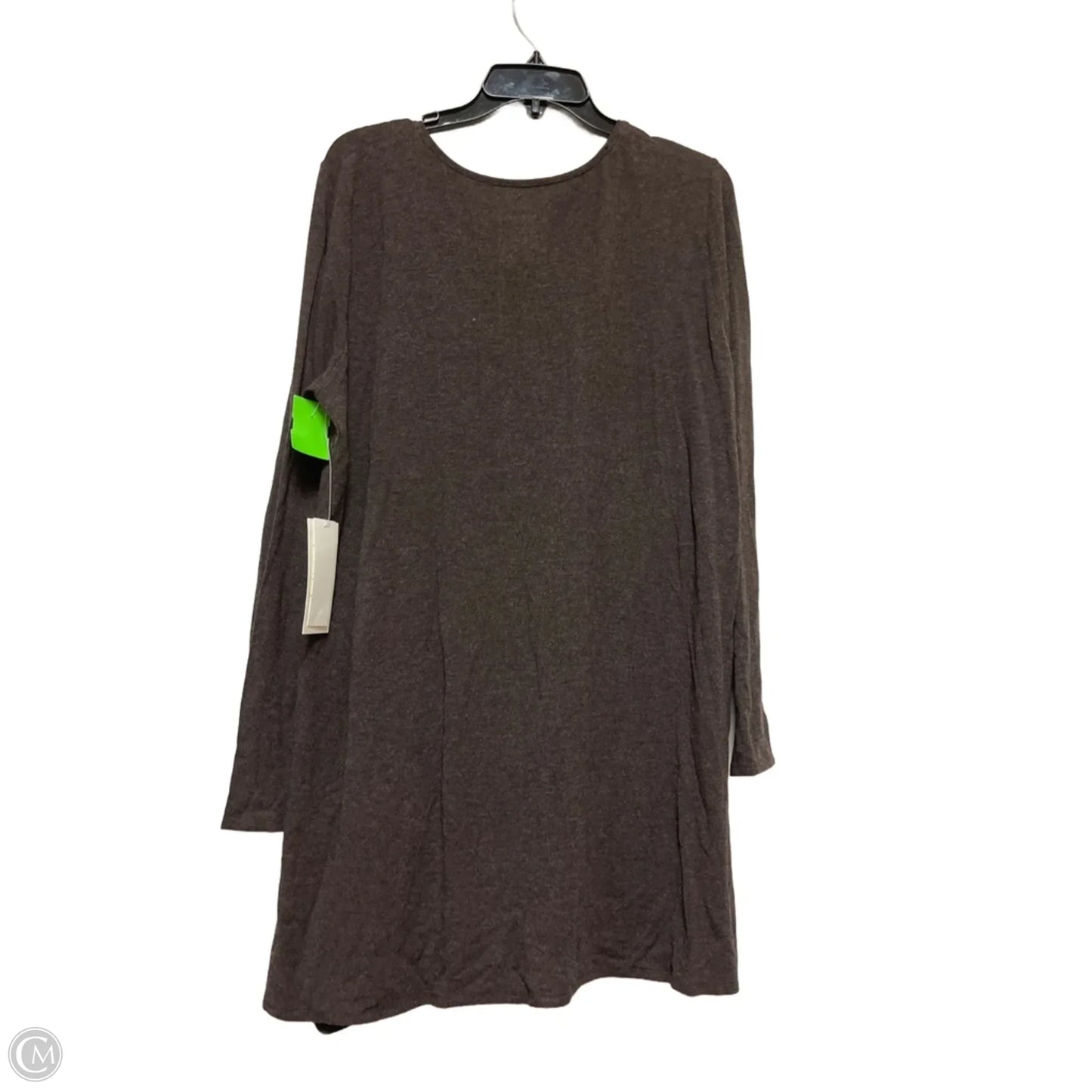 Top Long Sleeve By Eileen Fisher In Brown, Size: L