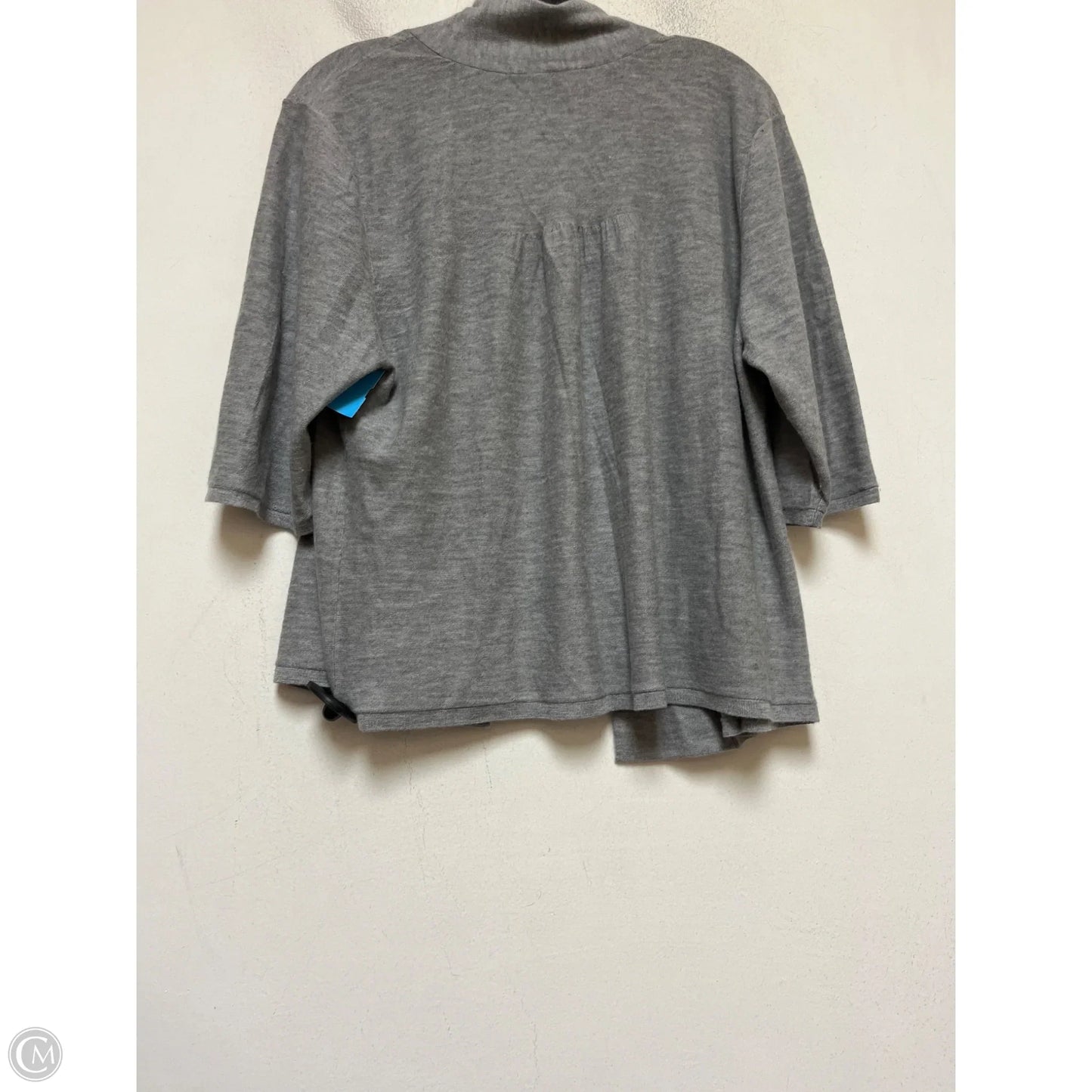 Top Long Sleeve By Eileen Fisher In Grey, Size: Xl