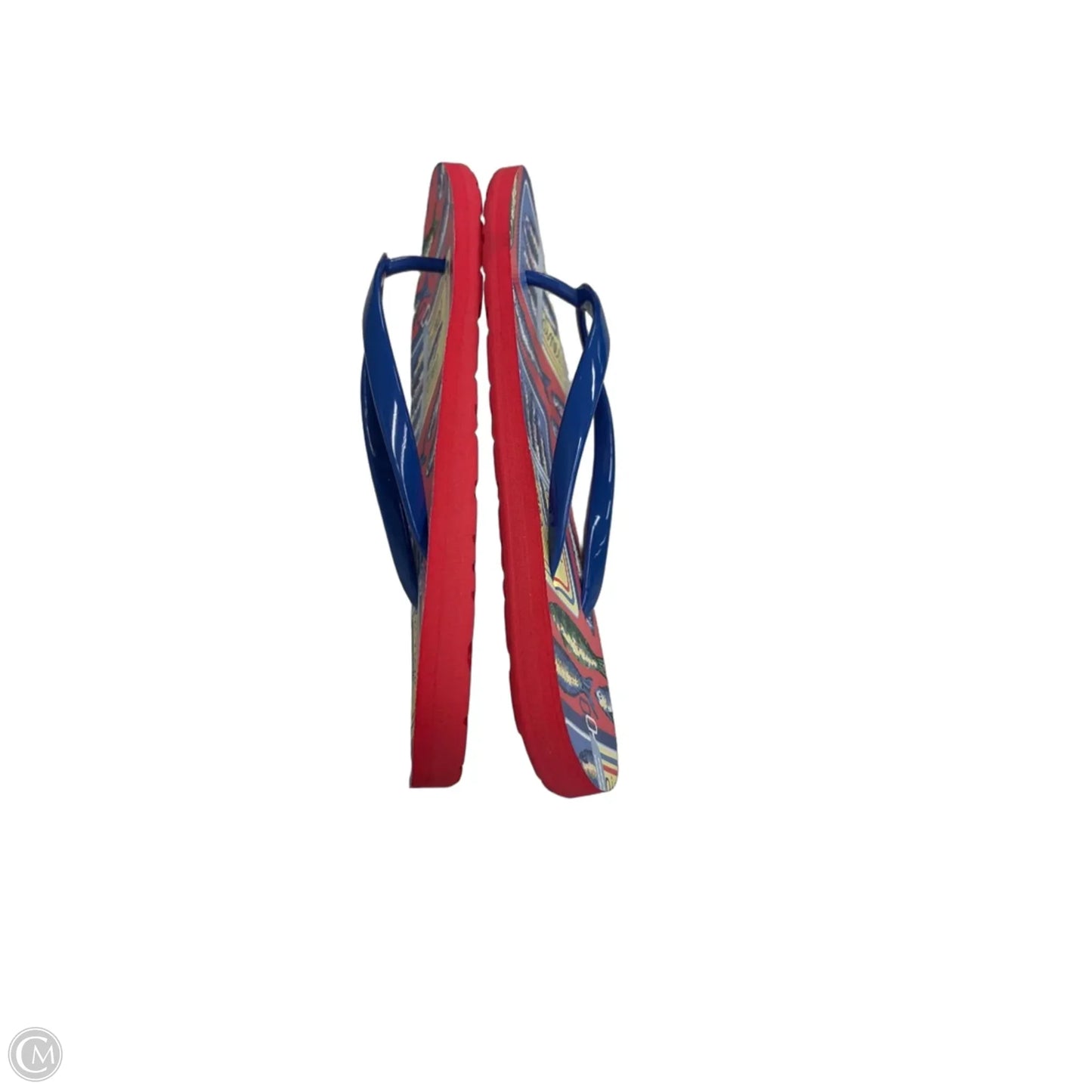 Sandals Flip Flops By Clothes Mentor In Blue & Red, Size: 5.5