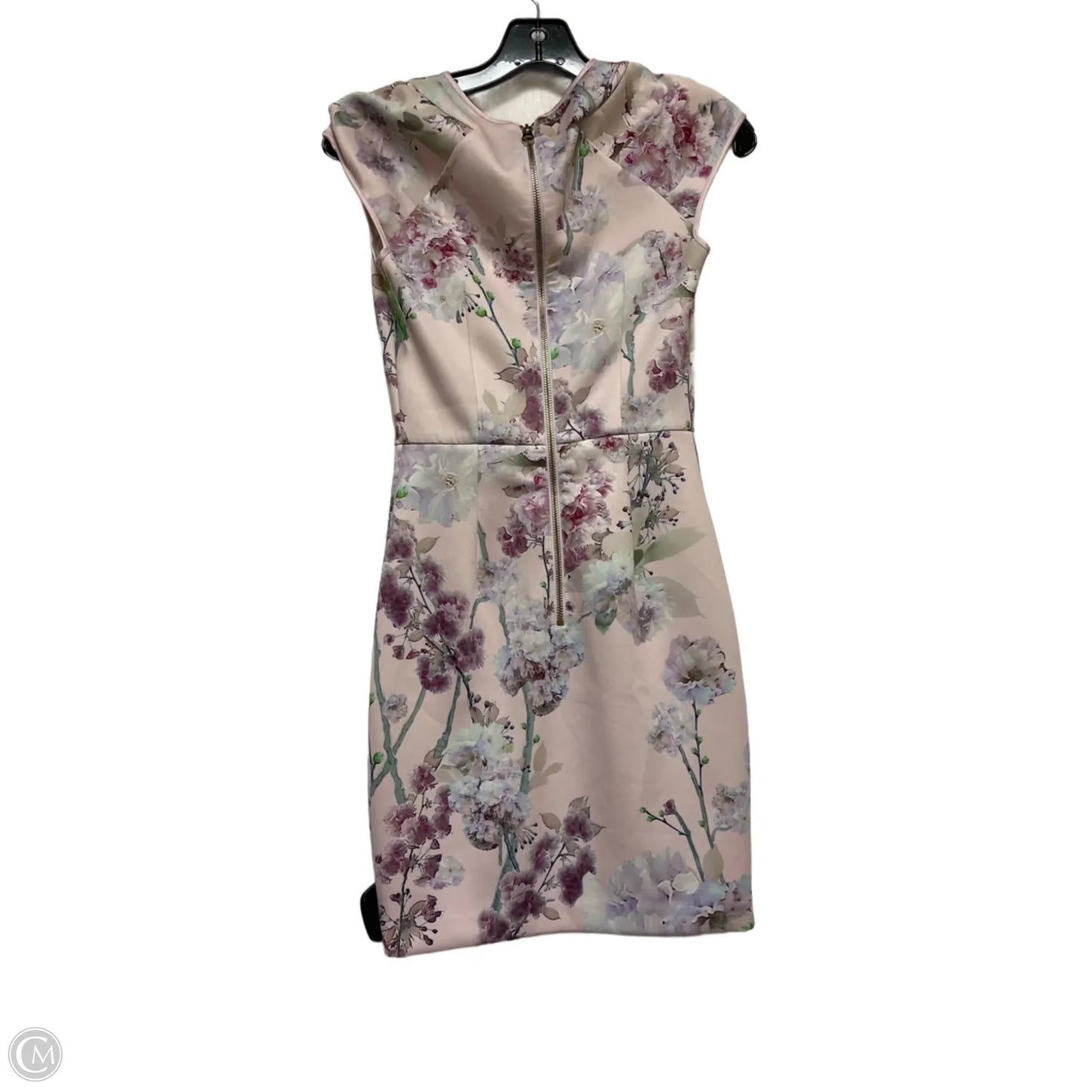 Dress Casual Short By Ted Baker In Floral Print, Size: Xs