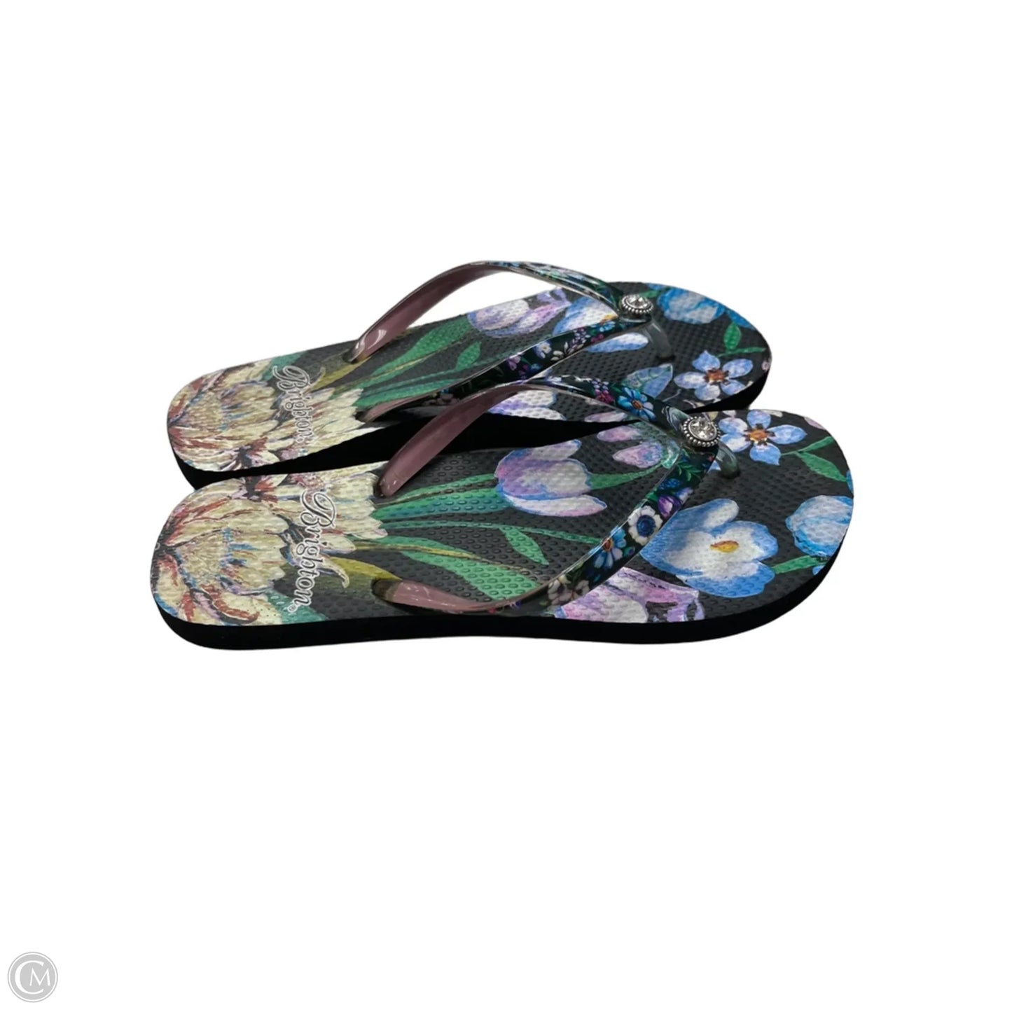Sandals Flip Flops By Brighton In Floral Print, Size: 7