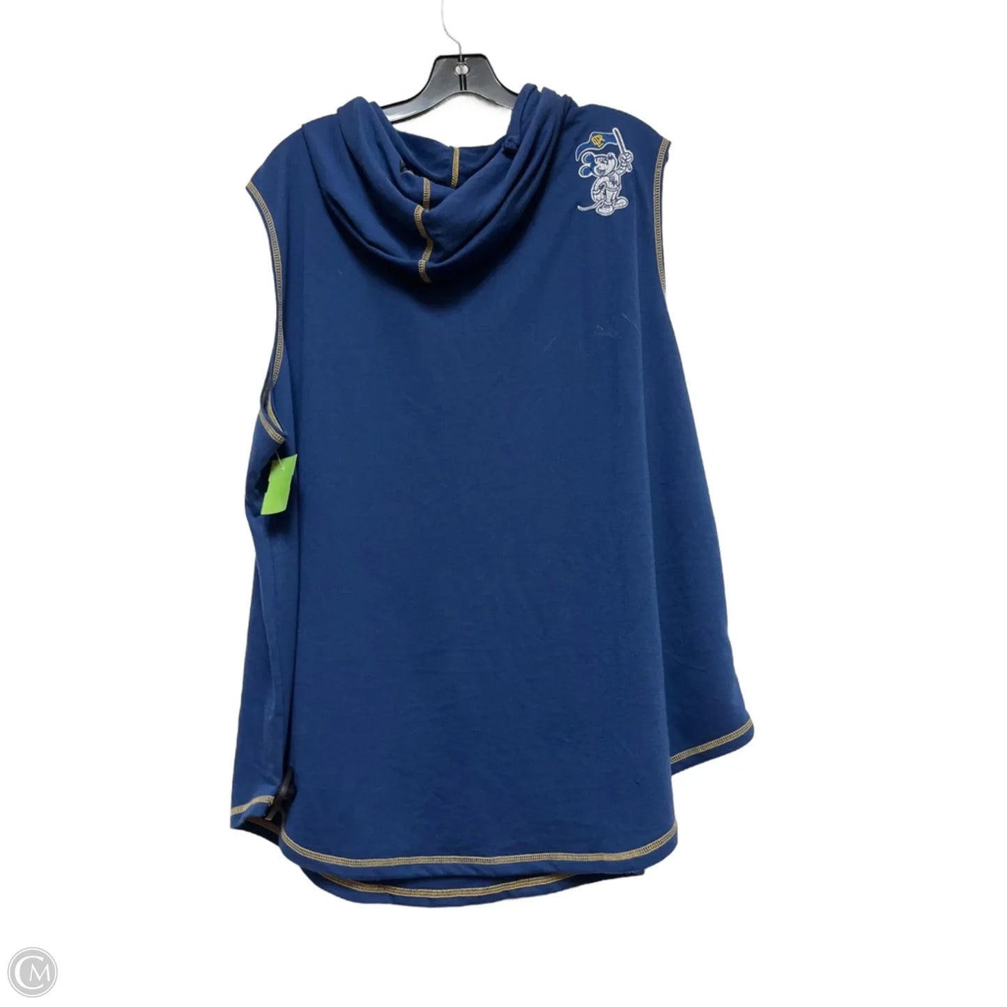Top Sleeveless By Disney Store In Blue & Yellow, Size: 3x