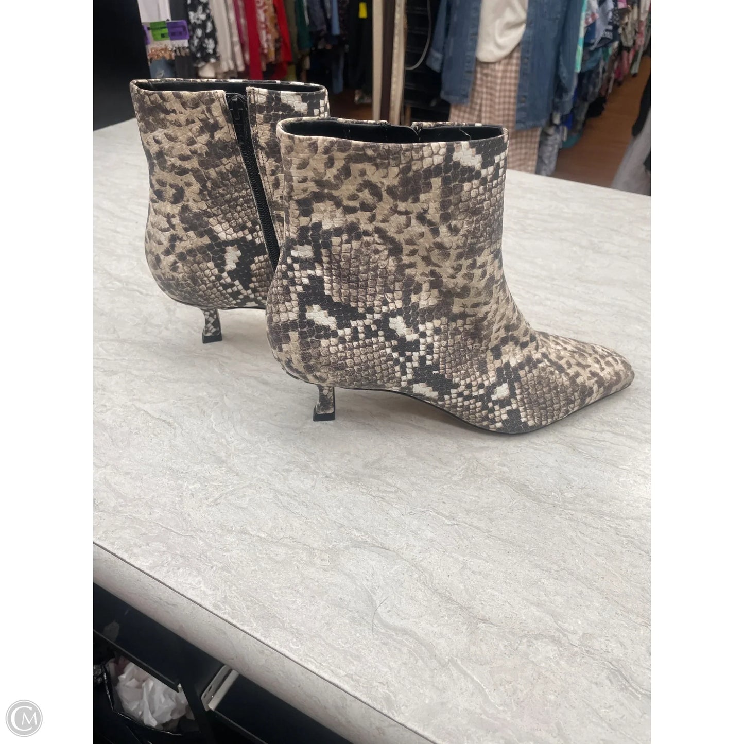 Boots Ankle Flats By Gianni Bini In Snakeskin Print, Size: 9.5