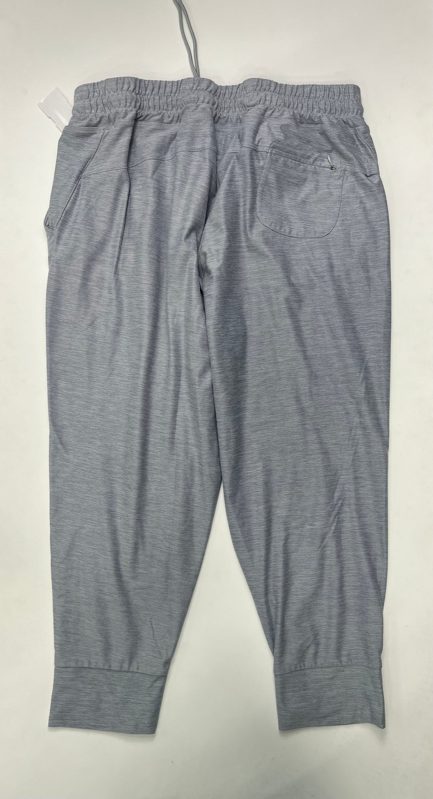 Athletic Pants By North Face Size: 2x