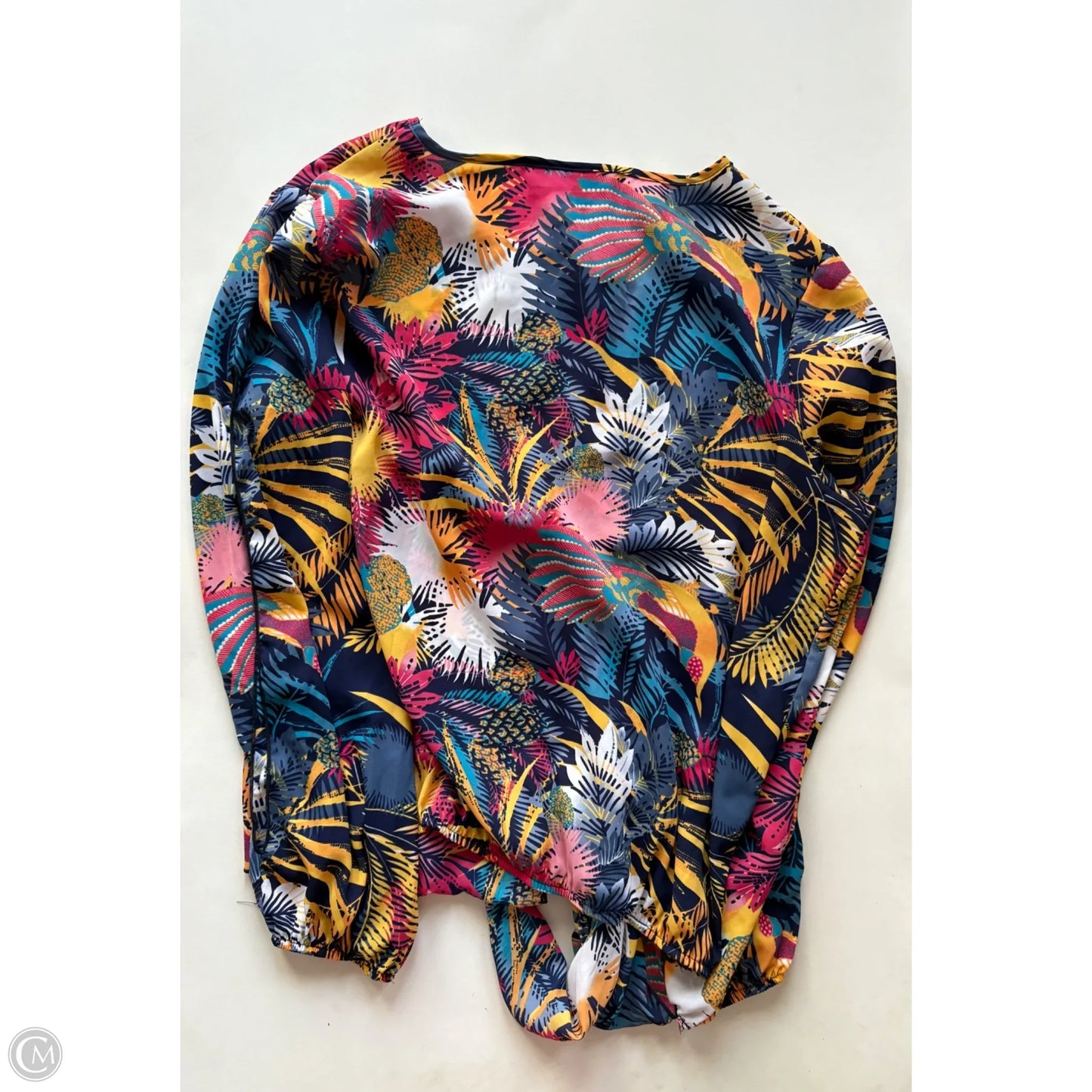 Blouse Long Sleeve By Ashley Stewart In Multi-colored, Size: Xl